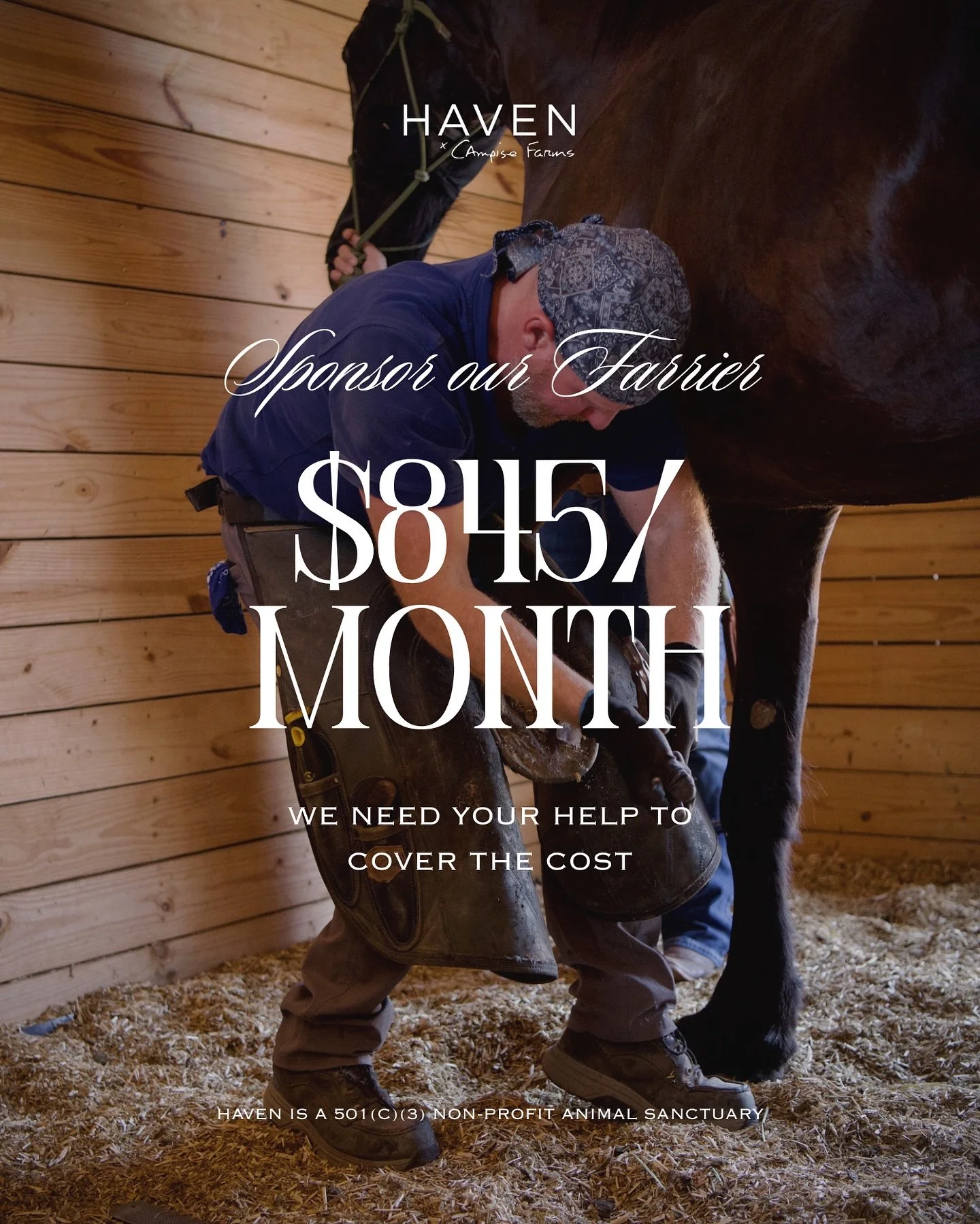 Every 4 weeks, the farrier comes to haven to care for every horse&rsquo;s hooves. It&rsquo;s essential work: trimming, balancing, and keeping our herd comfortable on their feet.

The cost is $845 each visit. It&rsquo;s a bill that arrives every month