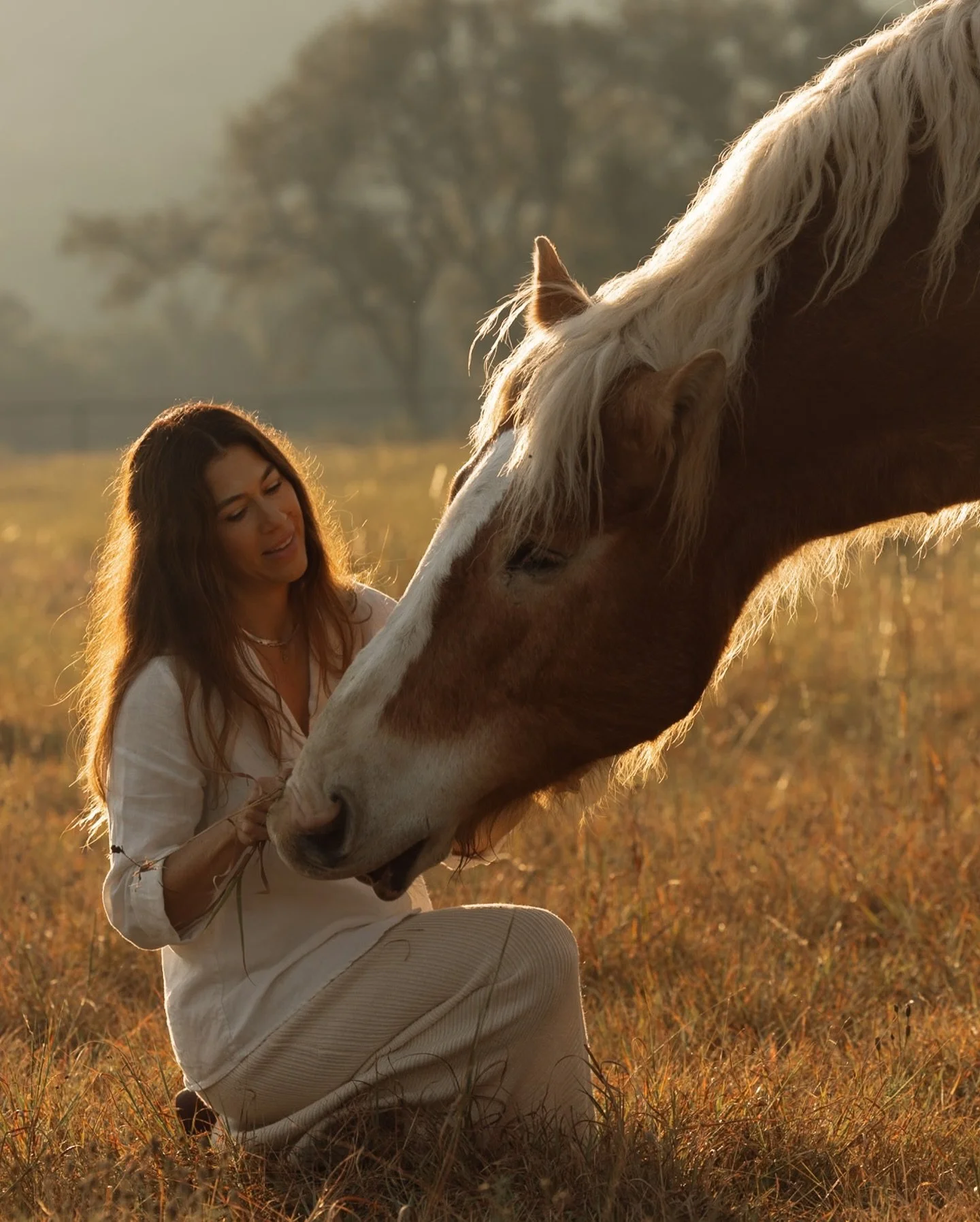 Ever since haven began, I&rsquo;ve quietly admired the work of @roamtherange.co. Her storytelling, her eye, her deep reverence for the horse&hellip; it all felt like a mirror of what I hoped to one day build here. A dream of mine was to welcome @sara