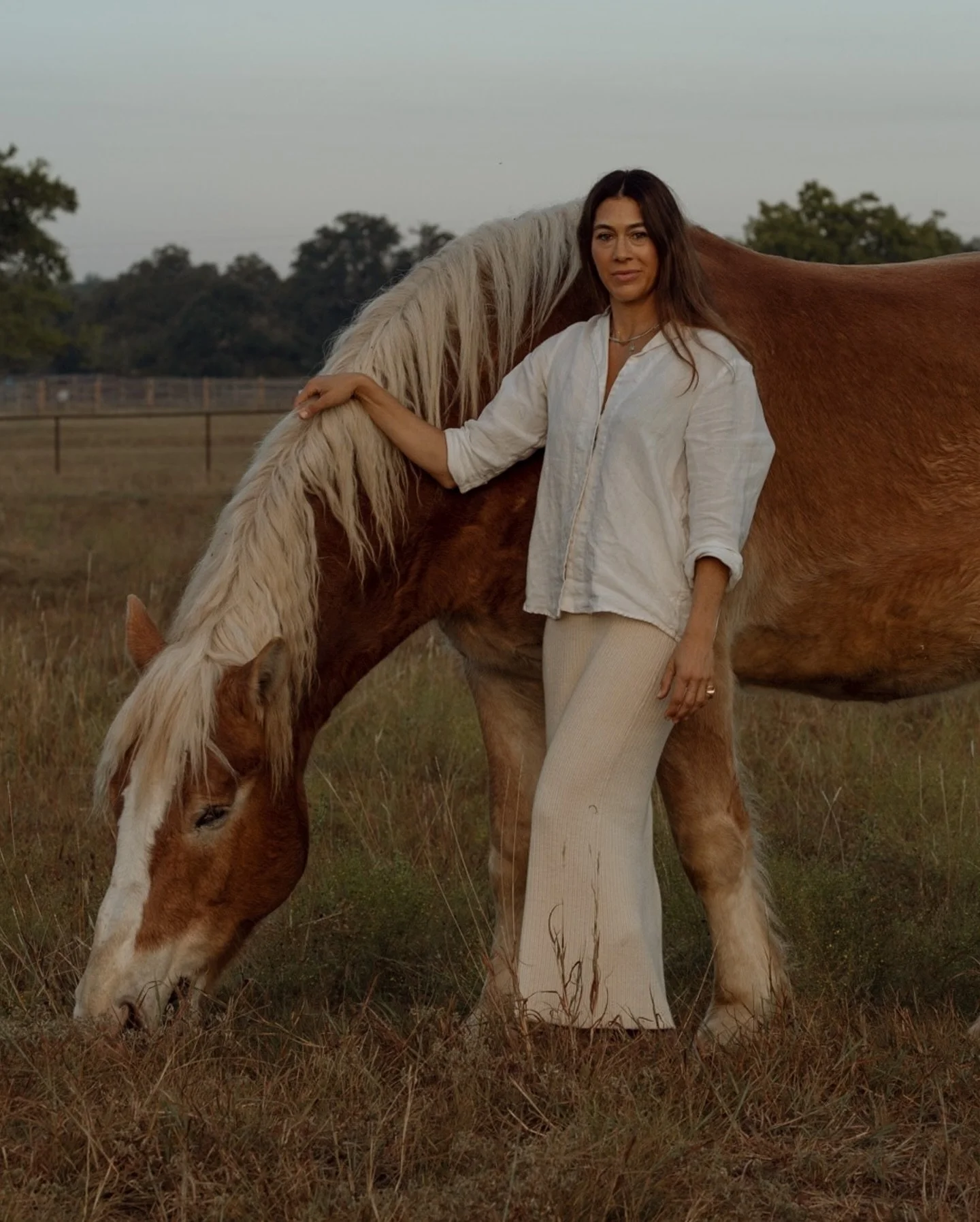 There is an important step at hand toward horses receiving the protection they have deserved for far too long. We are a handful of co-sponsors away from the SAFE Act receiving a House majority, which is a significant piece in ending the horrific real