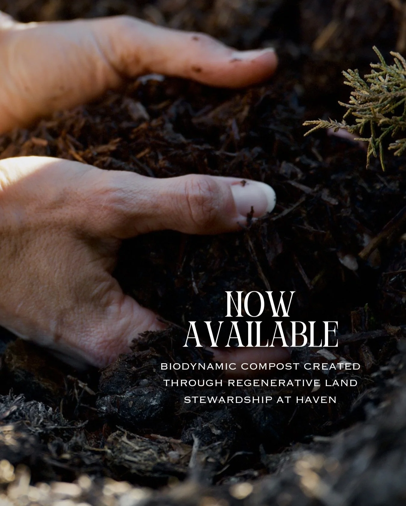Our biodynamic compost begins with the horses who call haven home and the land that sustains them. It is created through daily care and regenerative pasture management, and every purchase directly supports the $30,000+ it takes each month to run have