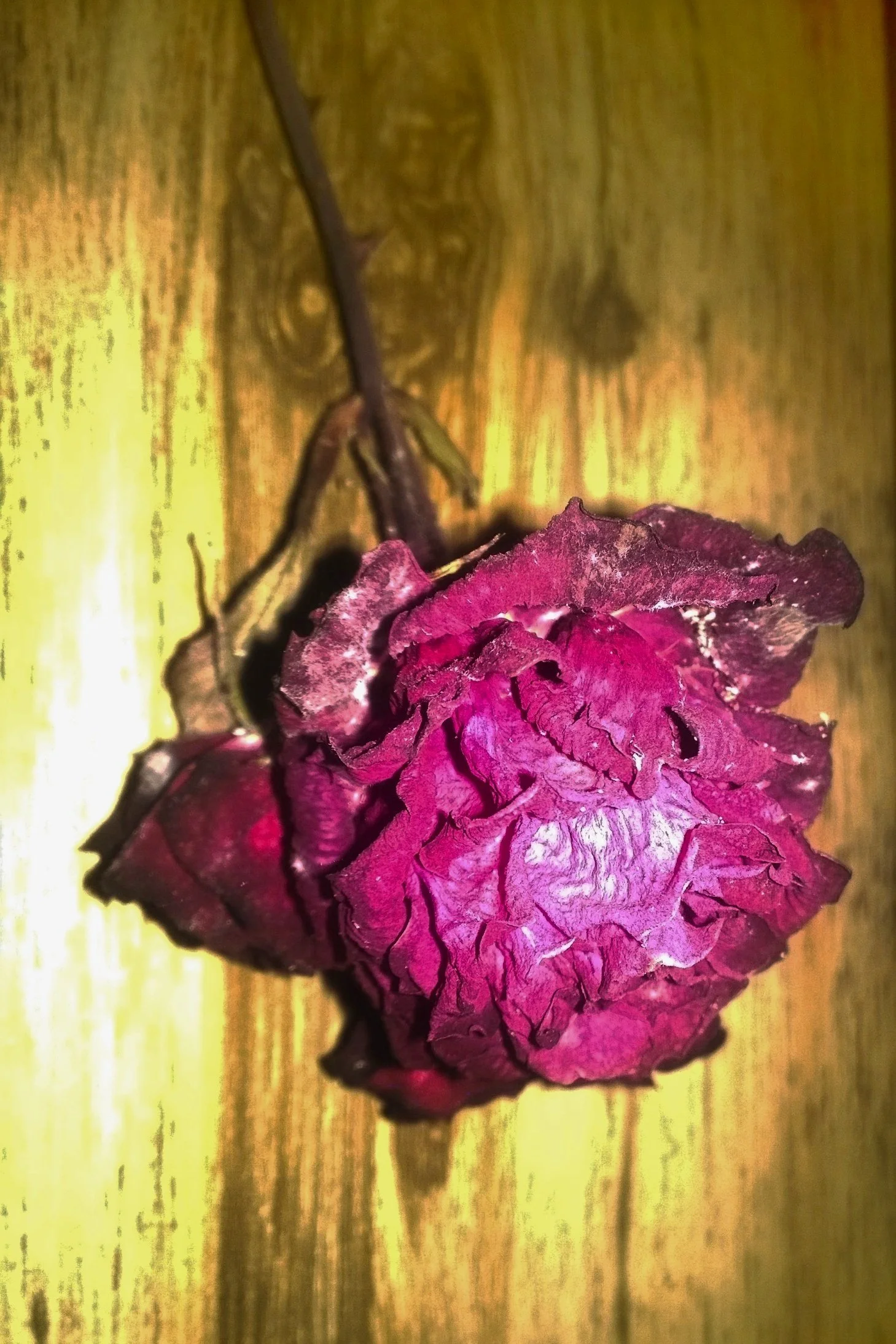 decaying beautiful 