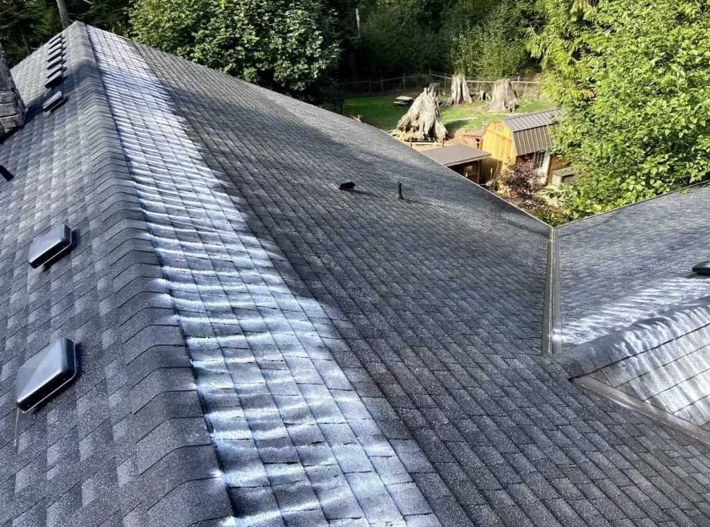 A rooftop with several vents, the roof is covered in zinc sulfate moss treatment