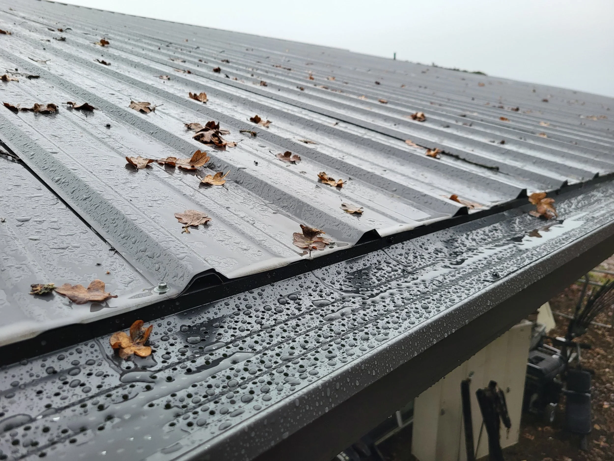 Close-up of a metal roof with water droplets and fallen brown leaves on its surface, rain and overcast sky in the background.