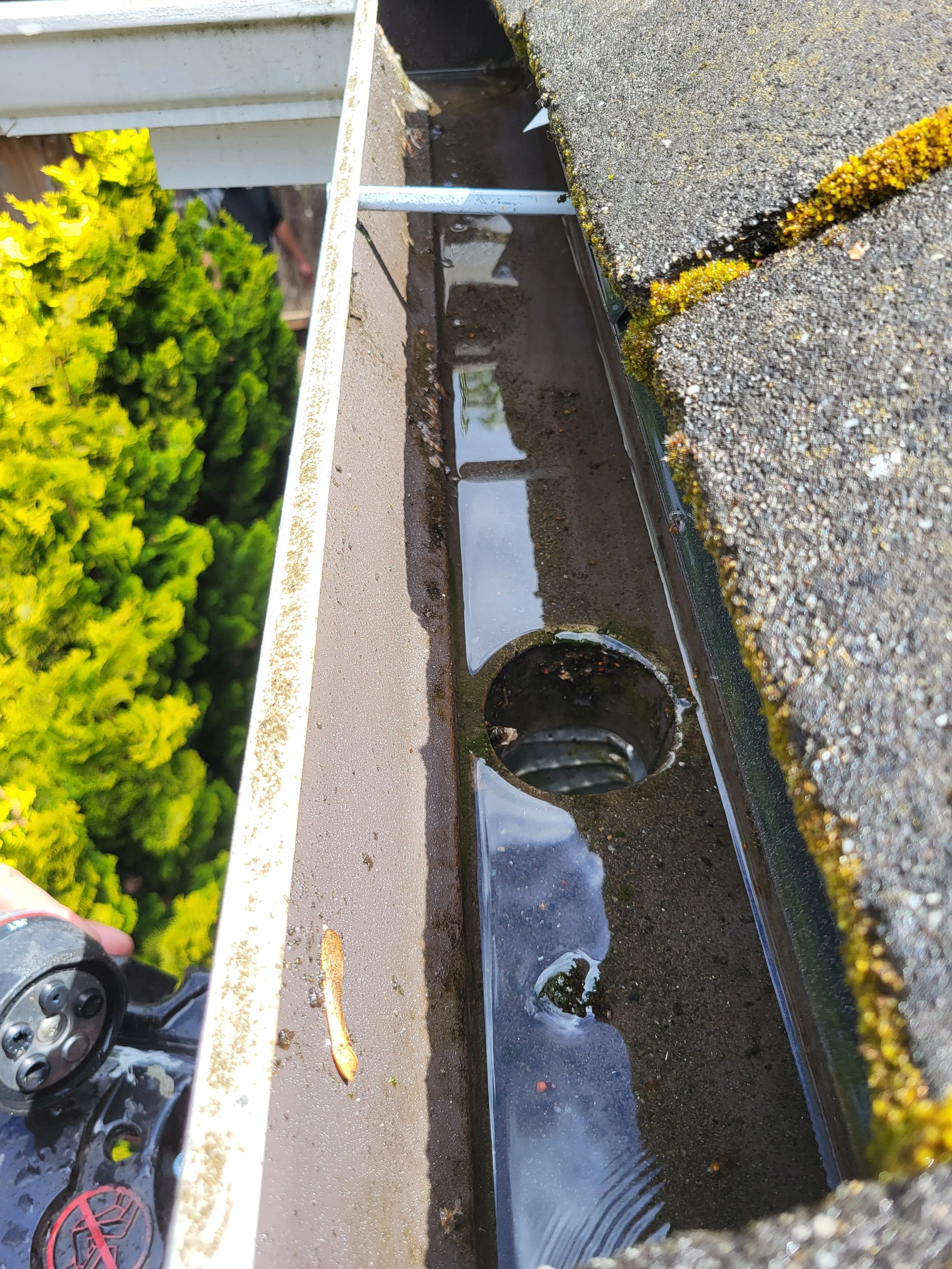 A close-up view of the edge of a rooftop with a gutter, moss growing along the edge, and a small puddle of water in the gutter.