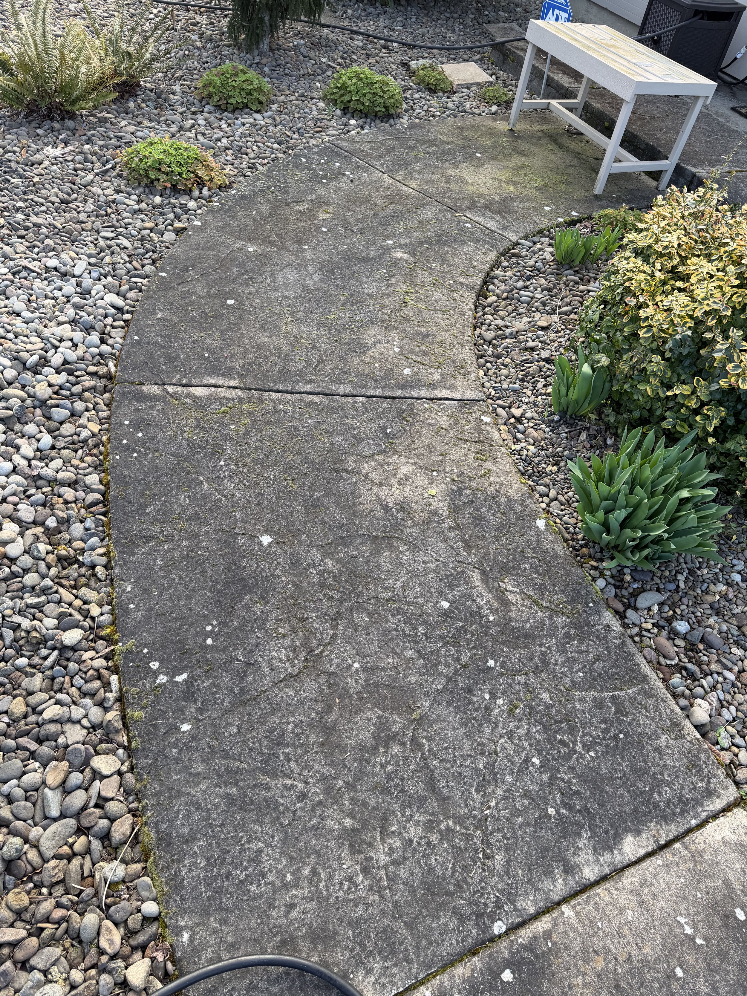 A concrete sidewalk with moss and dirt, surrounded by small pebbles and plants, with a white wooden bench in the background.