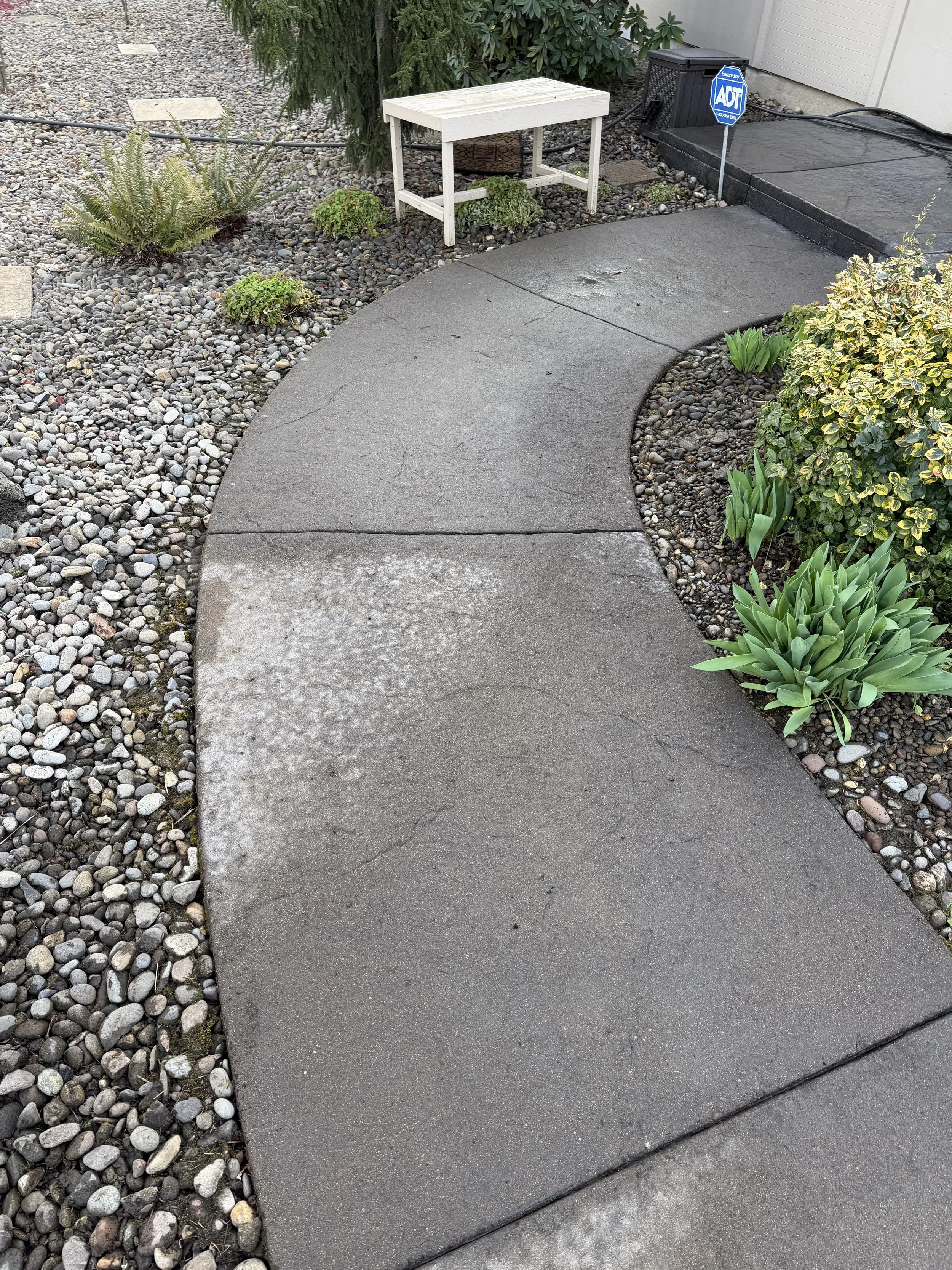 Curved concrete walkway bordered by small rocks and green plants, surrounded by small pebbles and plants, clean of the dirt and debris from before