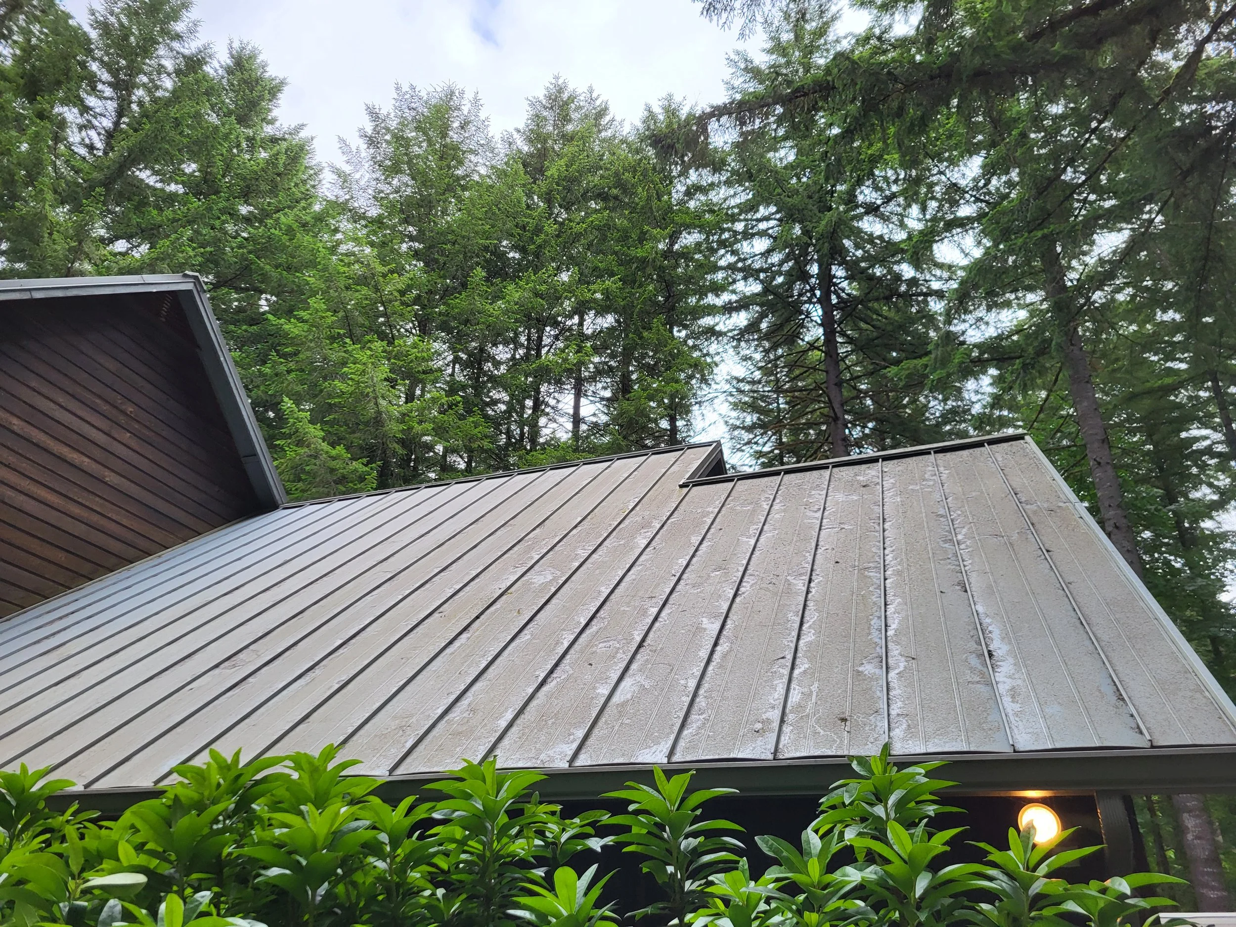 The image shows the rooftops of two houses with metal roofing, surrounded by lush green trees and some green bushes in the foreground. The sky is partly cloudy.