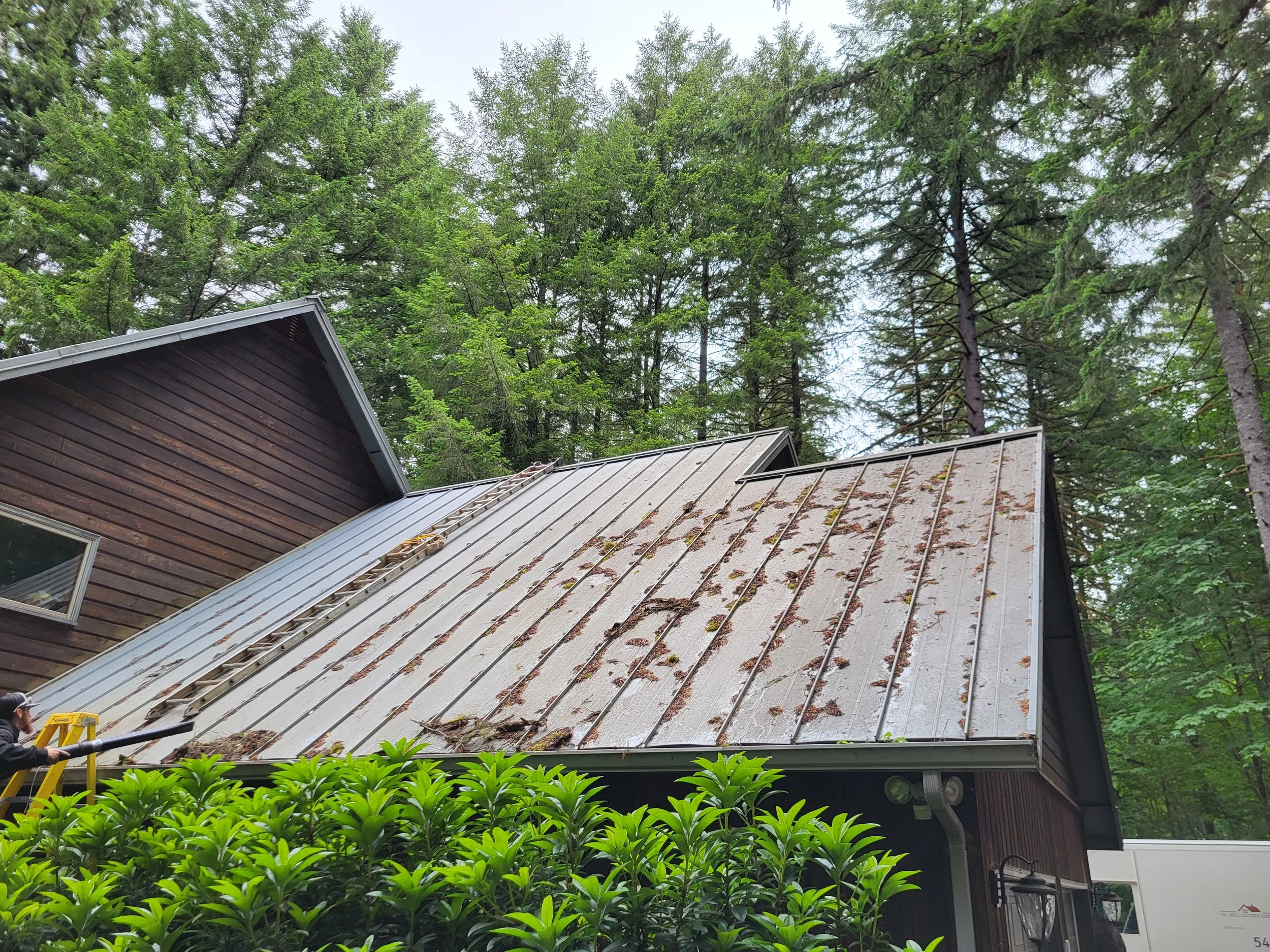 A house with wooden siding and a metal roof, with section being cleaned oh dirt and debris. The roof has some moss and leaves on it. Tall green trees are visible in the background.