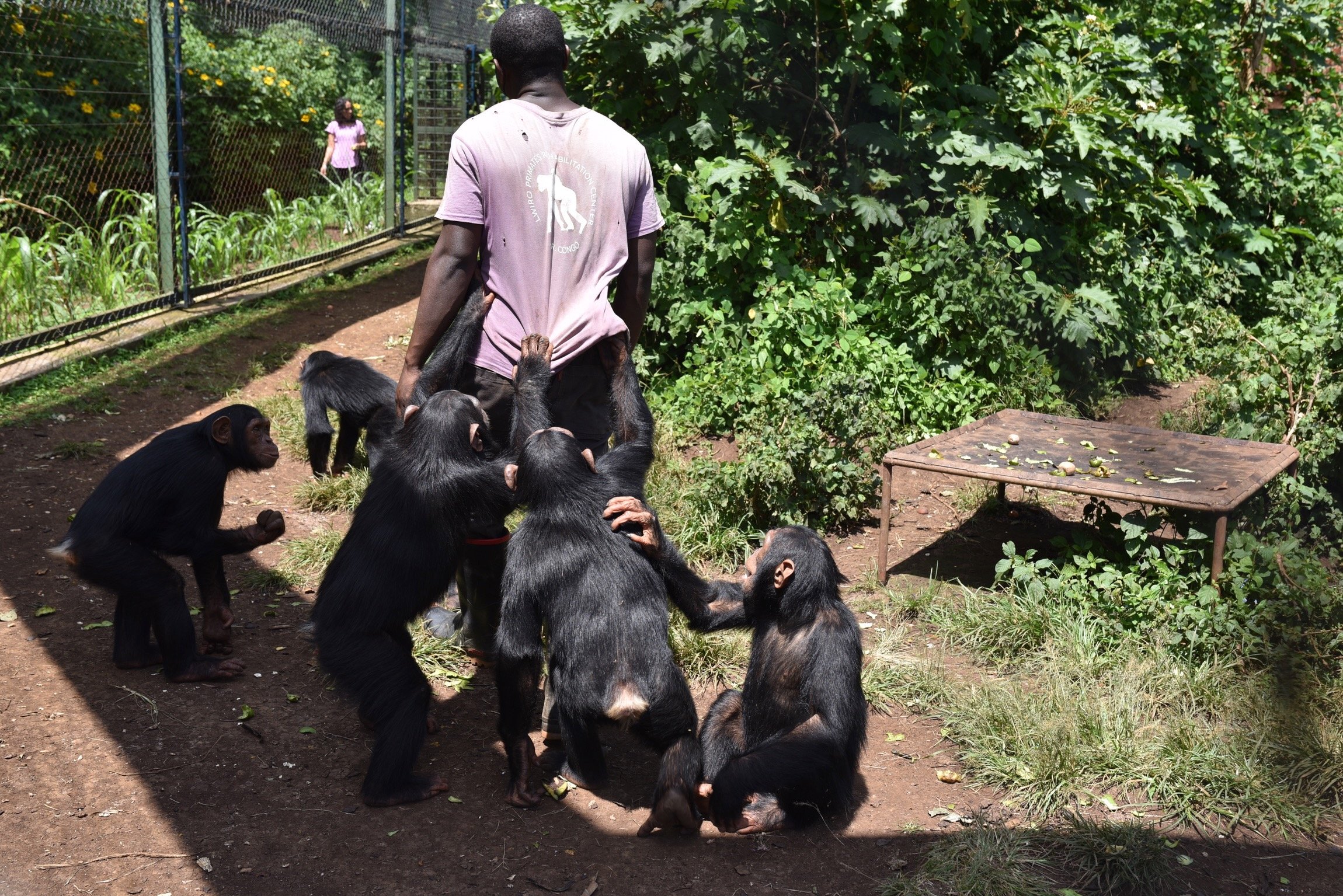 Take 60 seconds to visit the sanctuary
