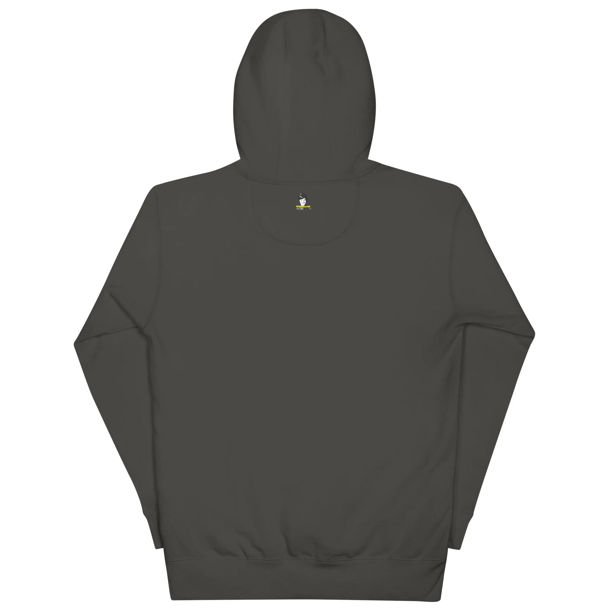 unisex-premium-hoodie-vintage-black-back-674f707aa9235.jpg
