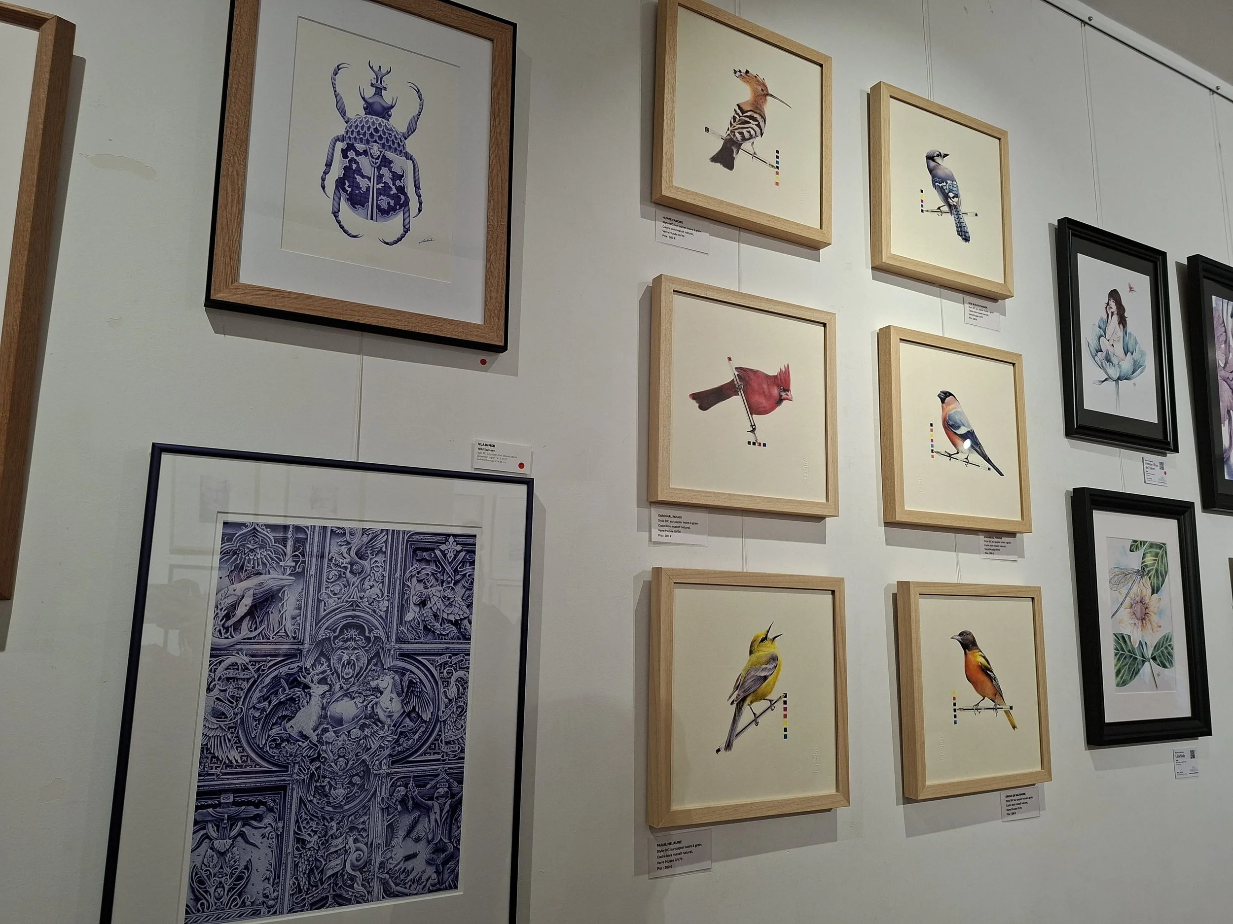 Expo bic en couleurs paris oeuvre bic couleur et bleu vladinsk oiseaux