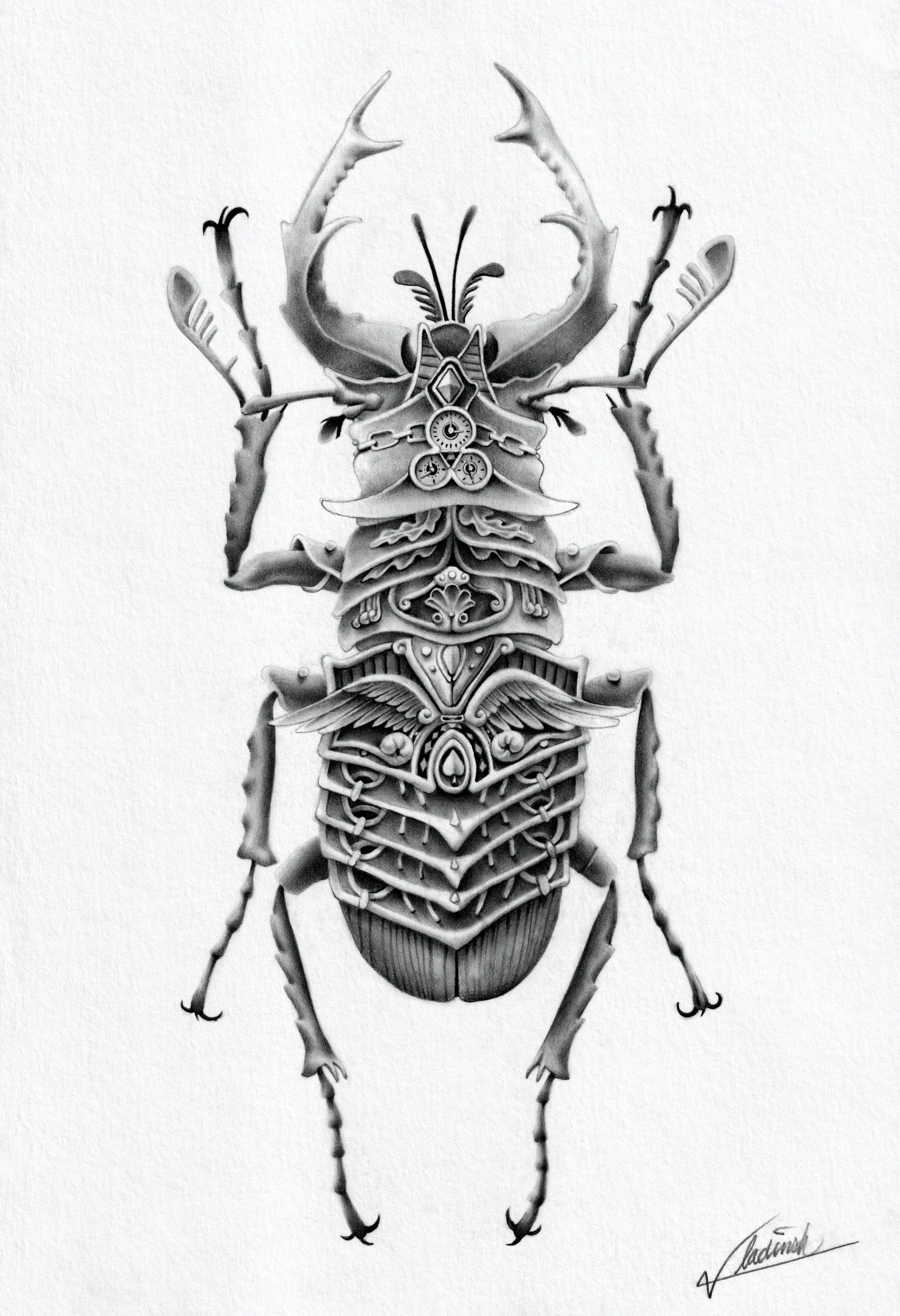 ornamental beetle.jpg