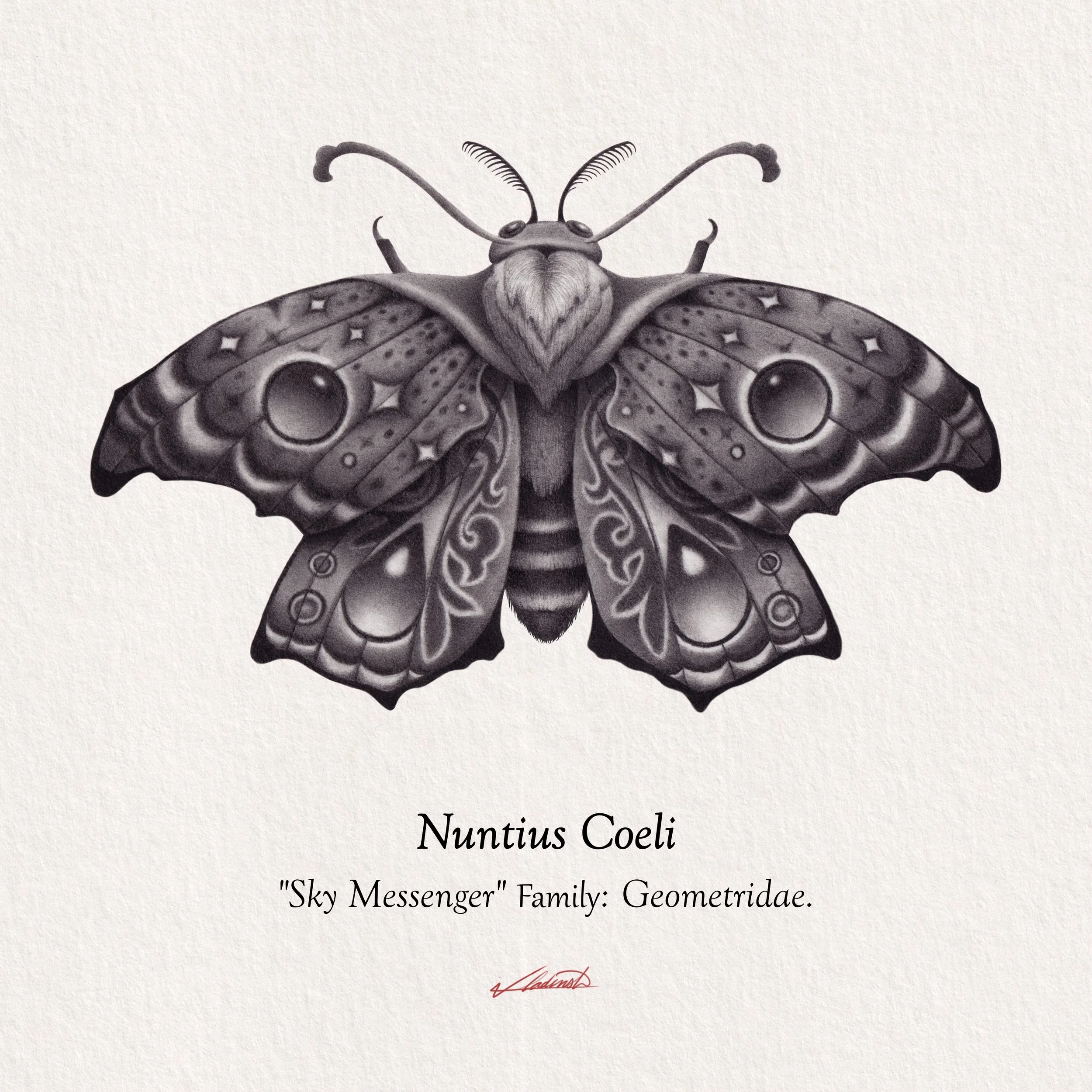 Nuntius Coeli.jpg