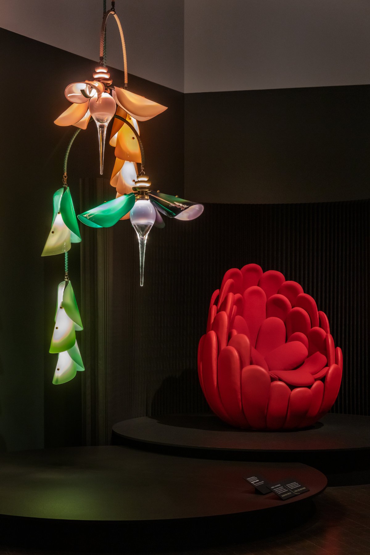 Biophilia Exhibition / Denver Art Museum