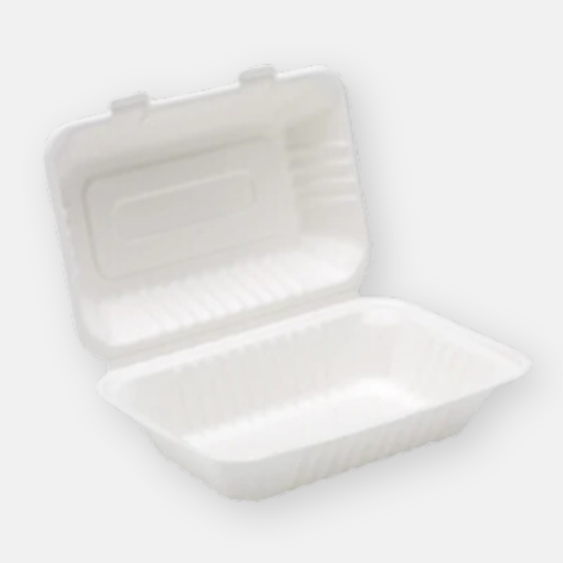 Bagasse Boxes