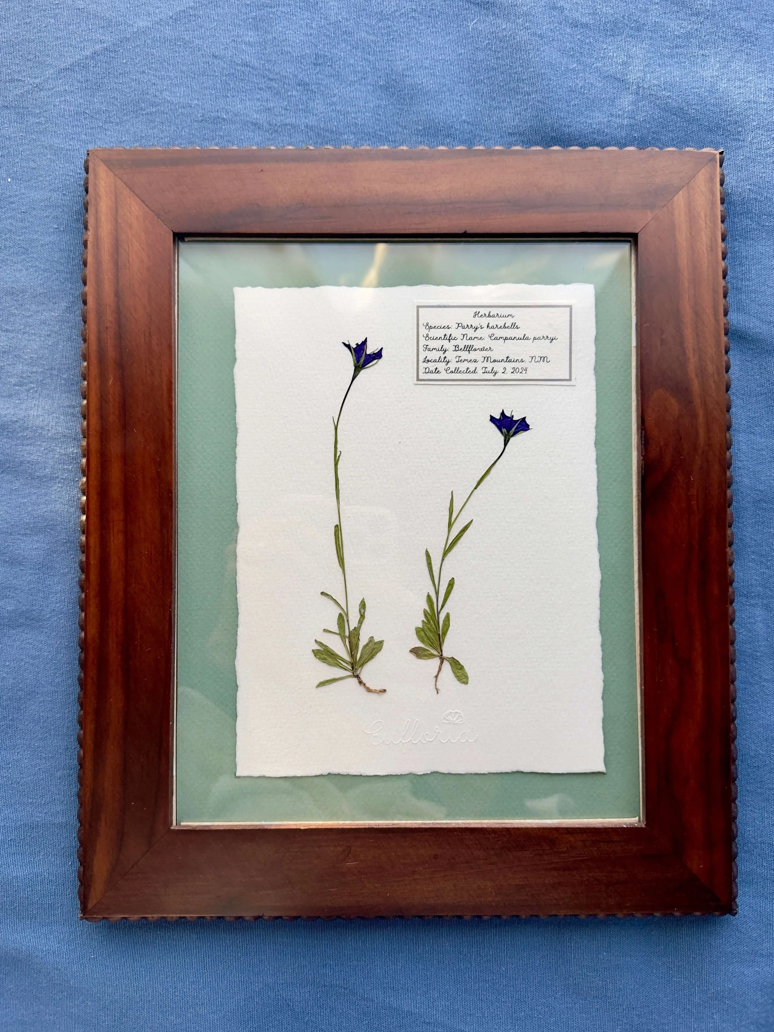 Mary Oliver 00003.jpg