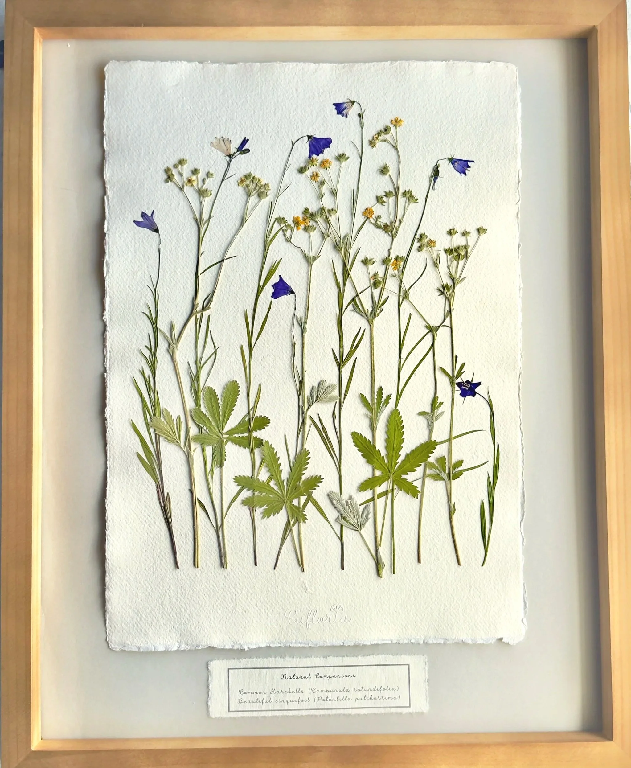 Natural Companions 2
16" x 20" plus frame.
Available at Cielo Handcrafted.