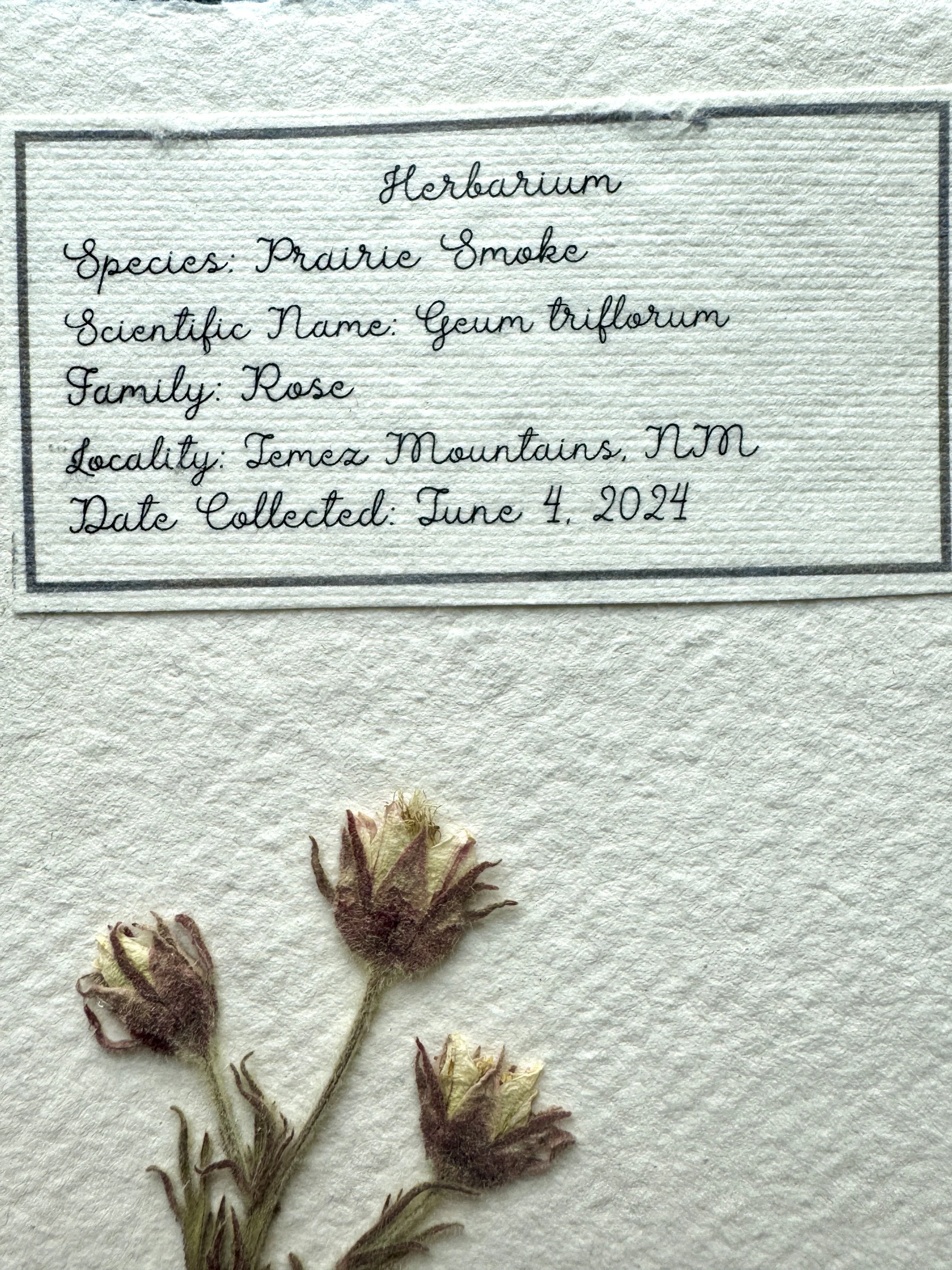 Prairie Smoke label.jpg