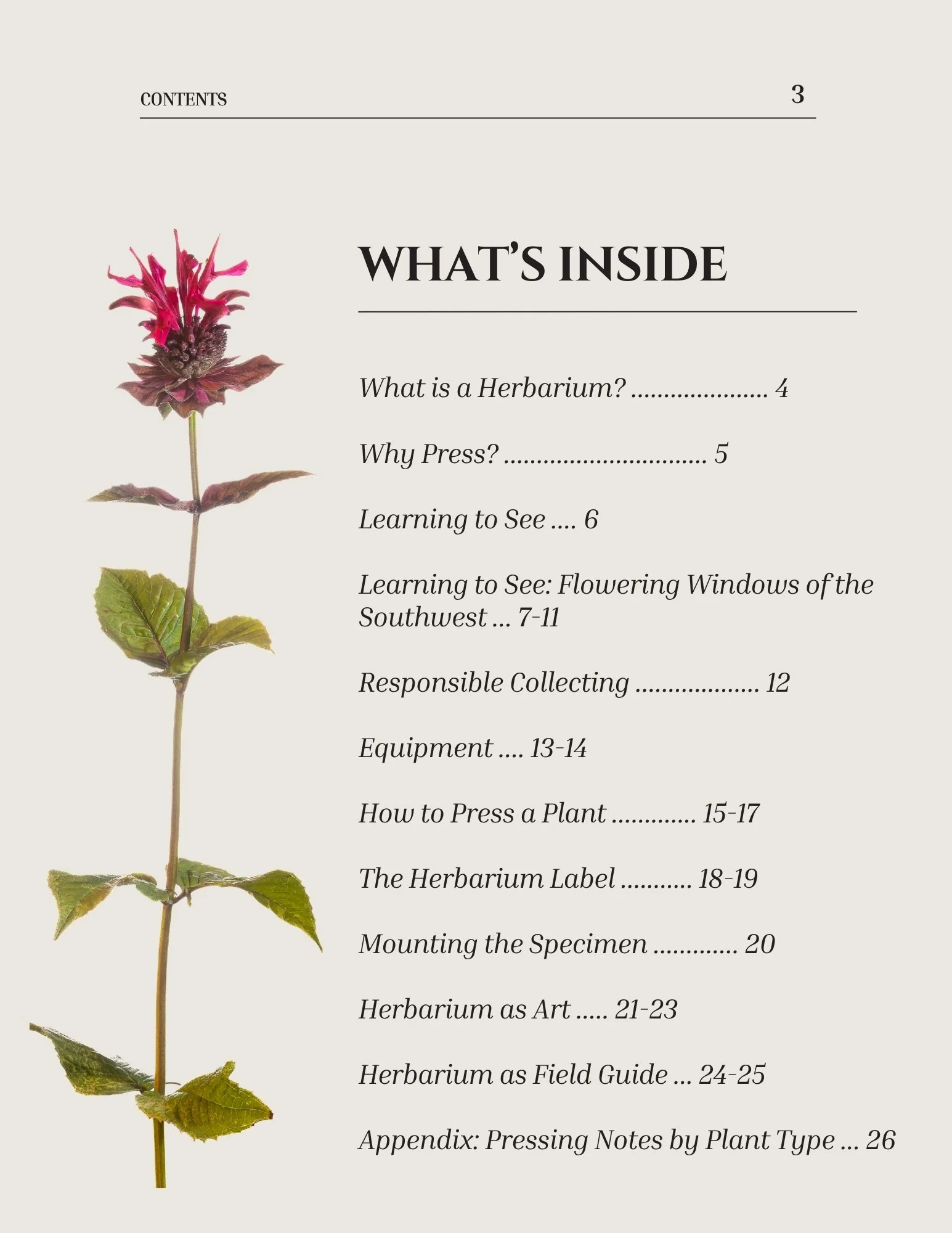 Contents page listing chapters on herbaria, flowering windows of the Southwest, responsible collecting, pressing, labeling, mounting, and display.