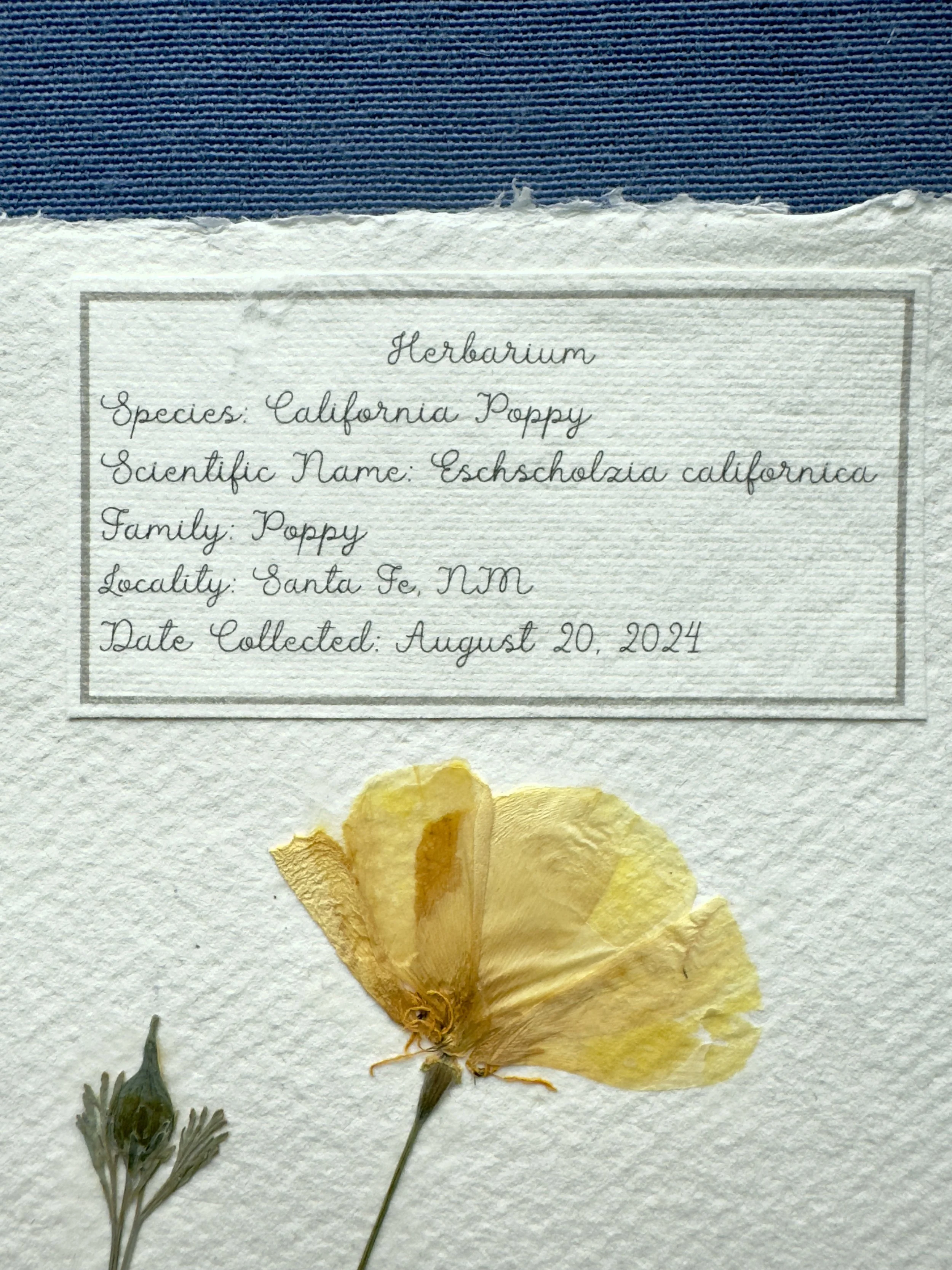 California Poppy label.jpg