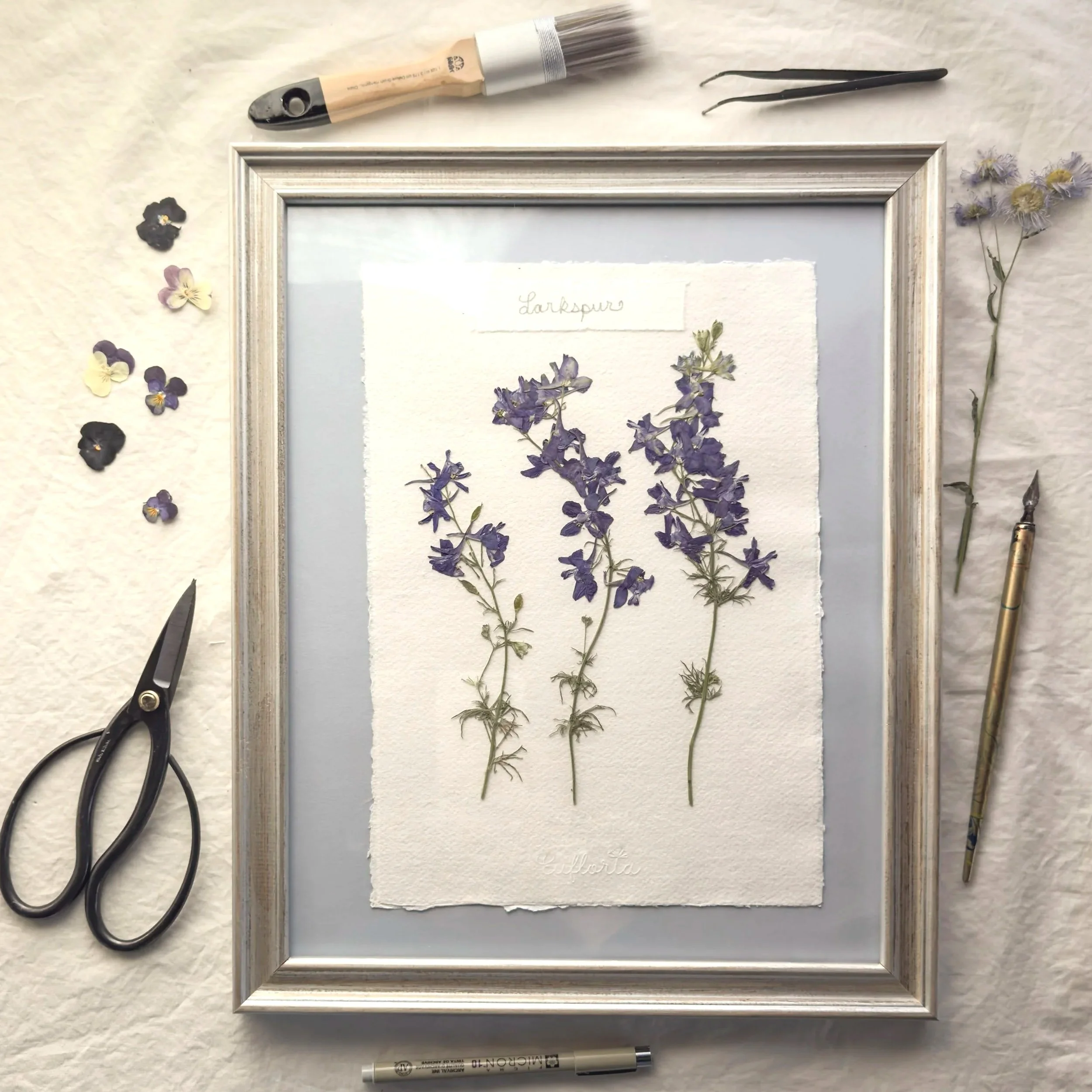 Guardians, Eufloria