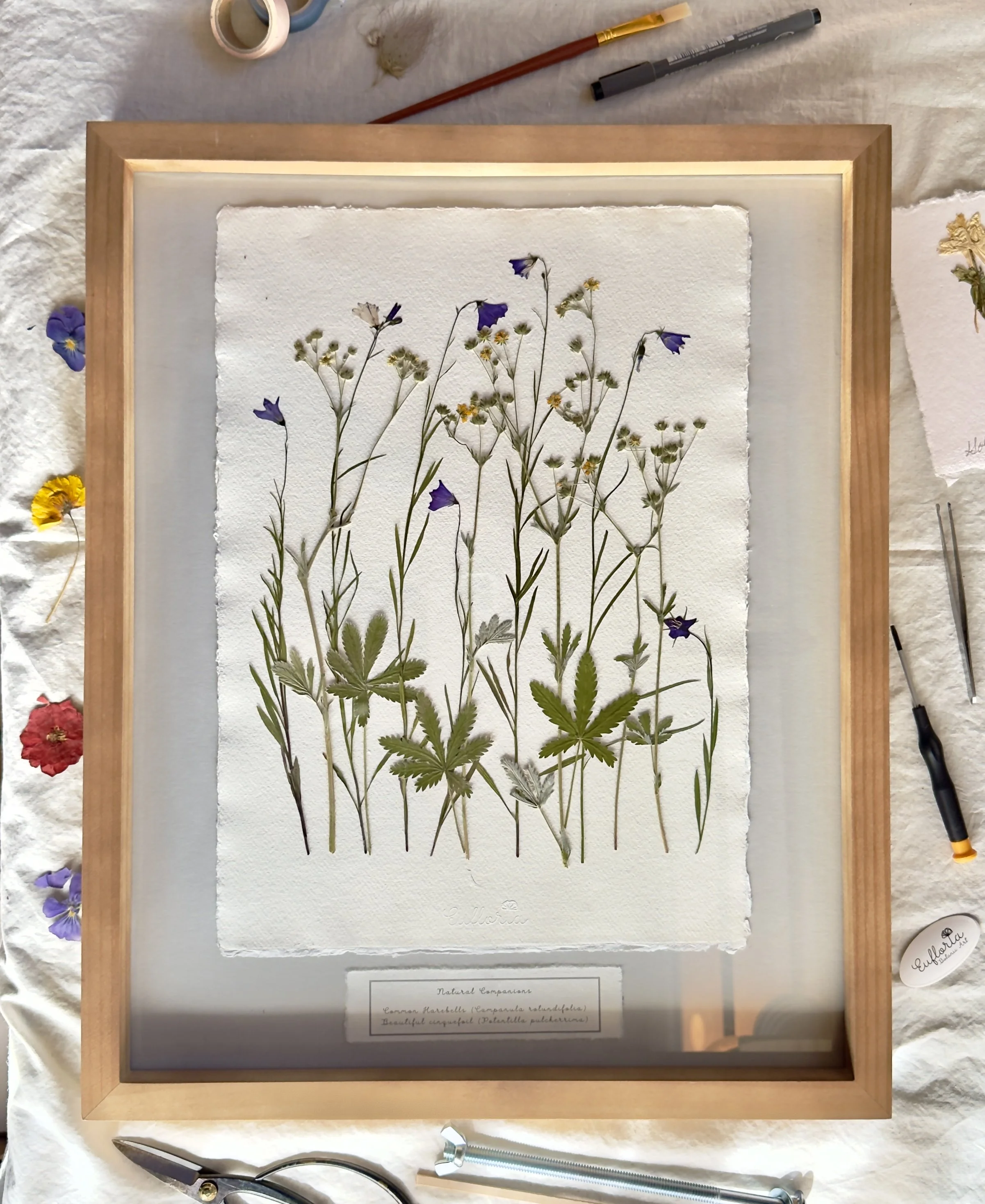 Natural Companions 2.
16" x 20" plus frame.
Available at Cielo Handcrafted.