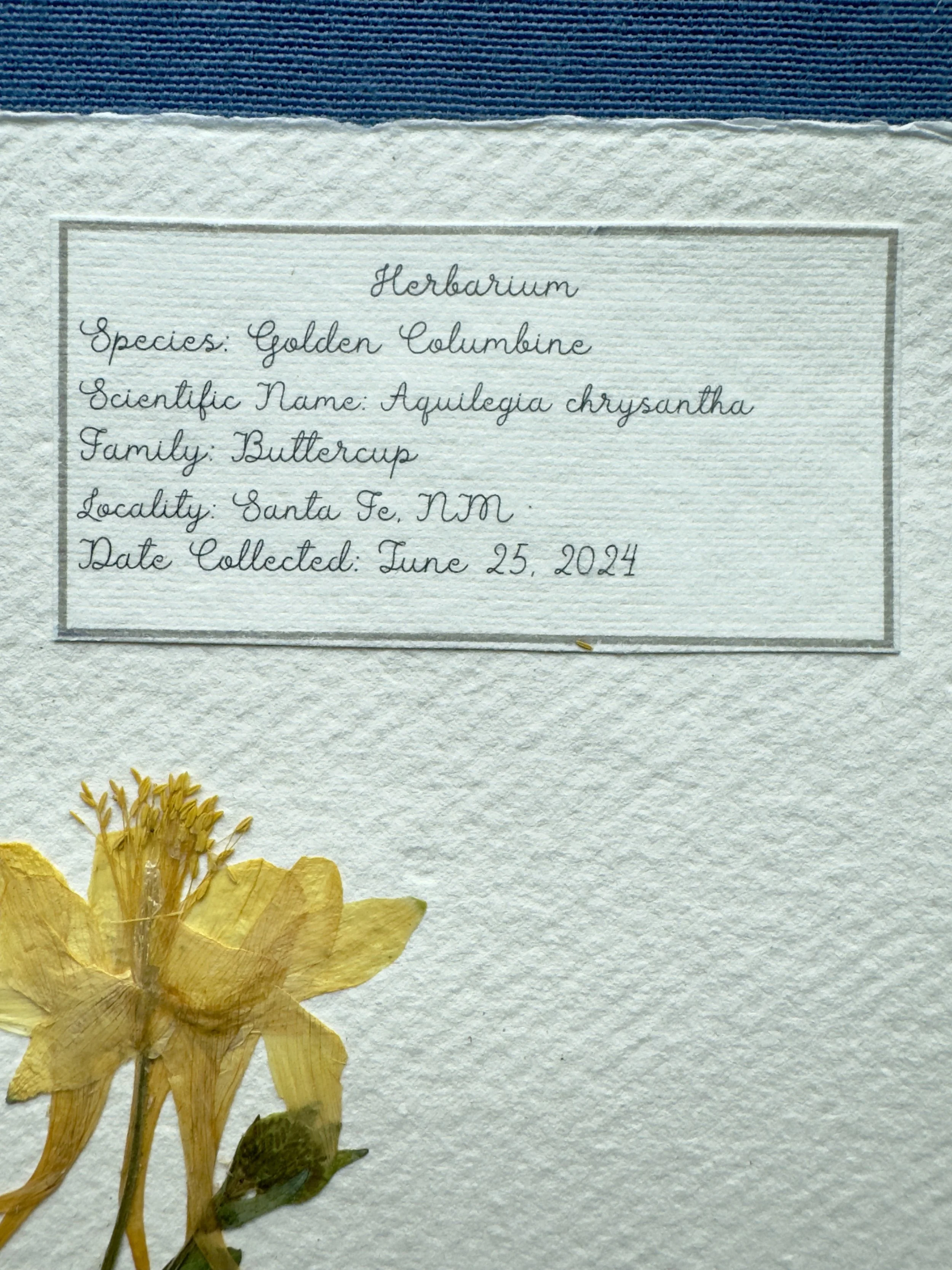 Golden Columbine label.jpg