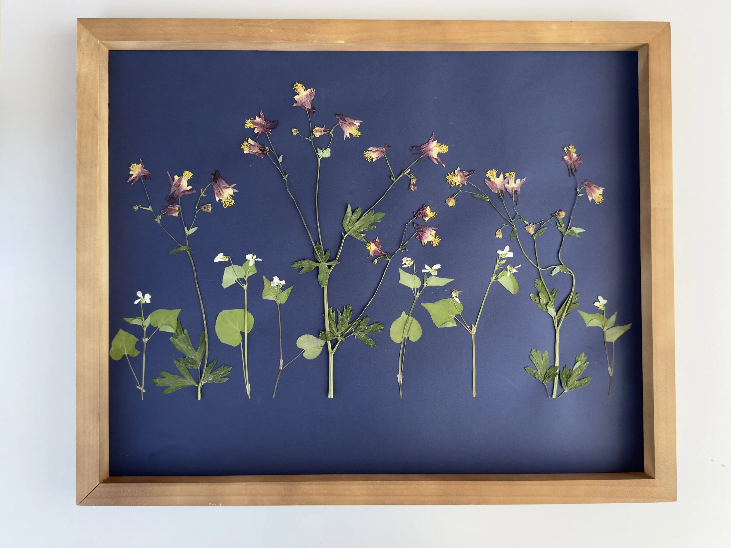 In the Shade of the Sangres.
16" x 20" plus frame.
Available at Santa Fe Spirits. $375.