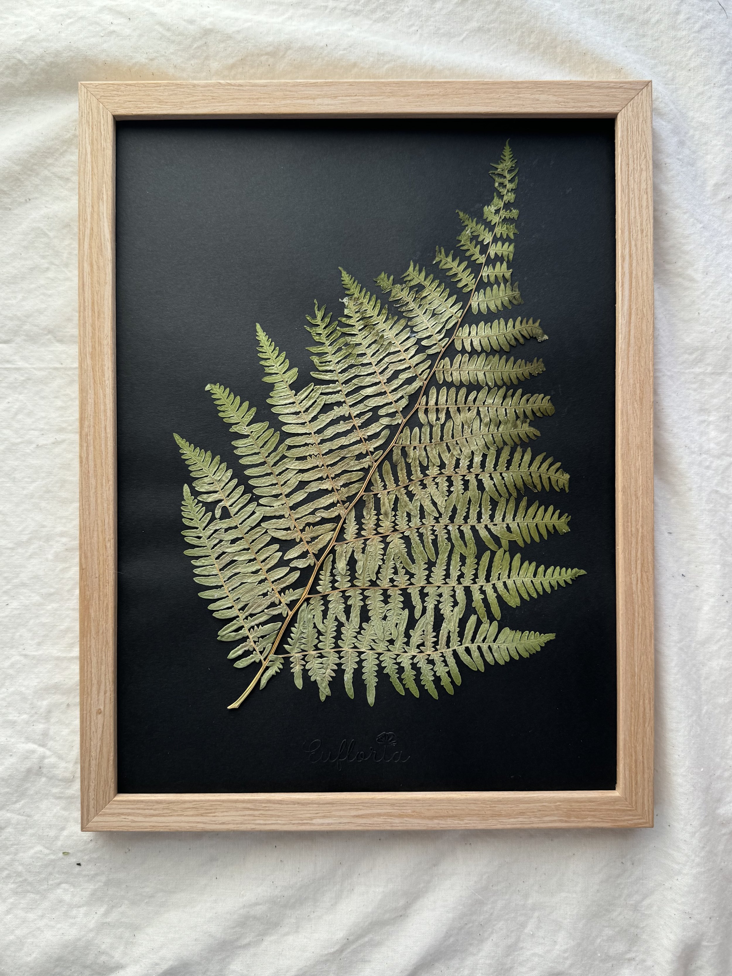 Greenest Branch Collection.jpeg