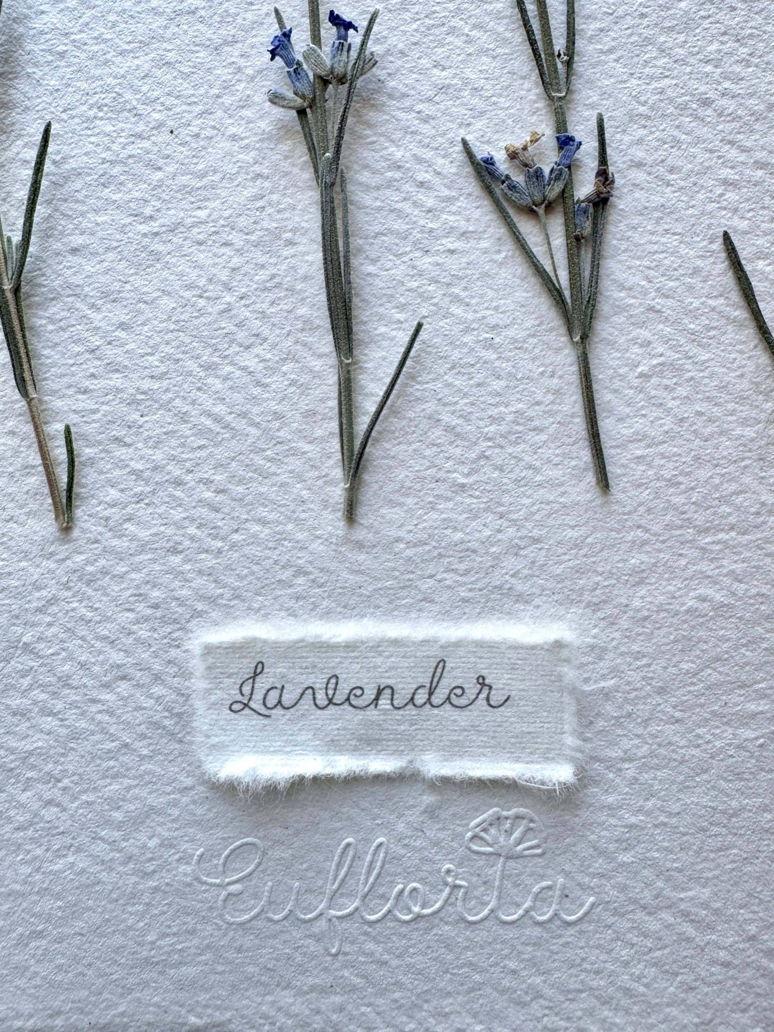 lavender A4-detail.jpg