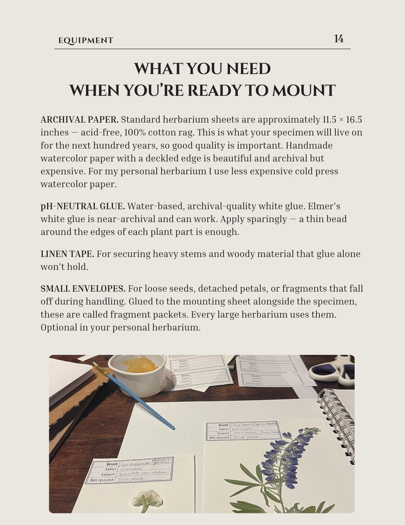 Guide page on mounting supplies — archival paper, pH-neutral glue, and linen tape — with a pressed lupine on a work table.