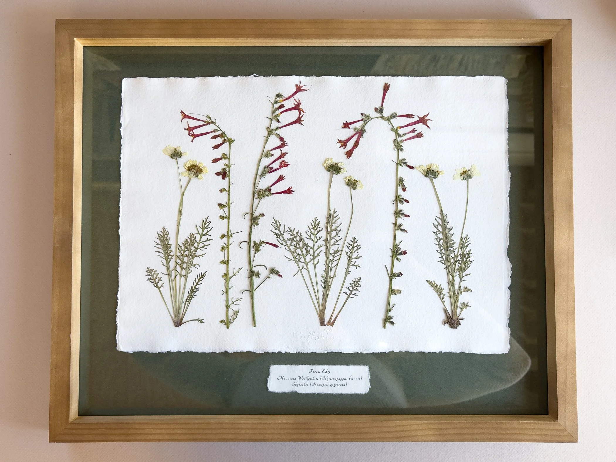 At Forest's Edge.
16" x 20" plus frame.
Available at Ohori's Coffee House.
$425.