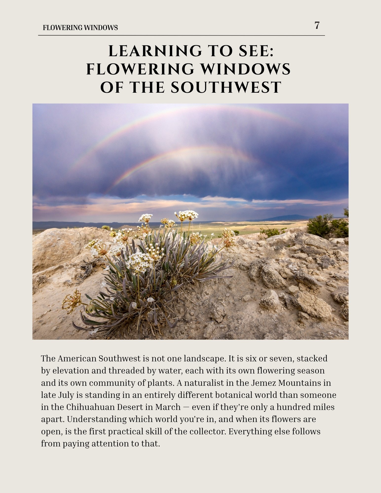 Guide page titled Learning to See: Flowering Windows of the Southwest, with desert buckwheat blooming under a double rainbow.