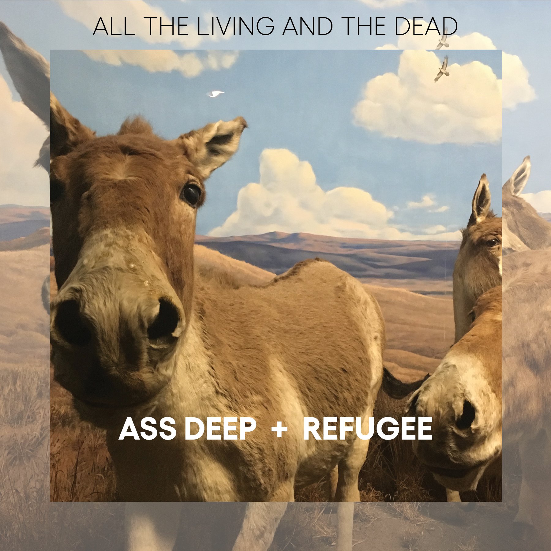 ATLATD-ass+refugee-single-artwork.jpg