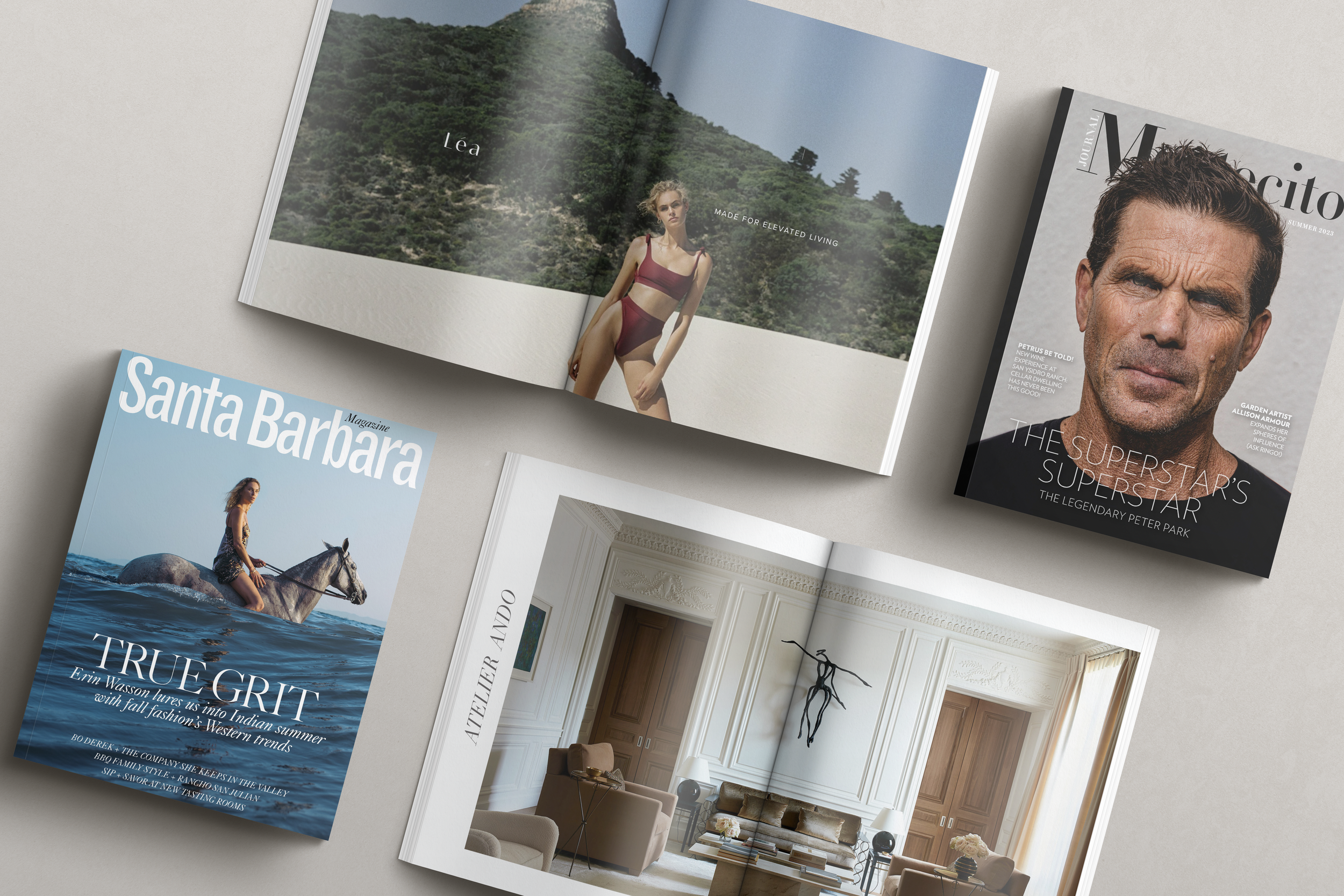 MAGAZINE ADVERTISEMENT DESIGN