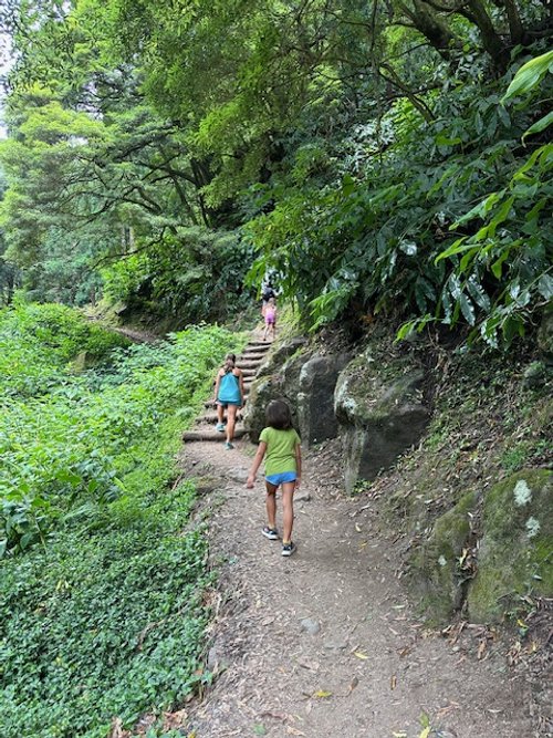 azores-waterfall-hike