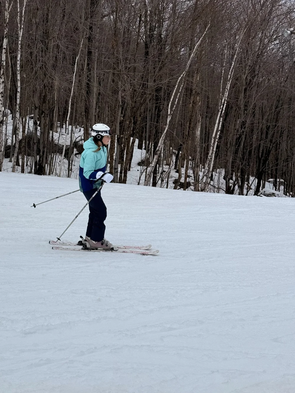 quebec_skiing