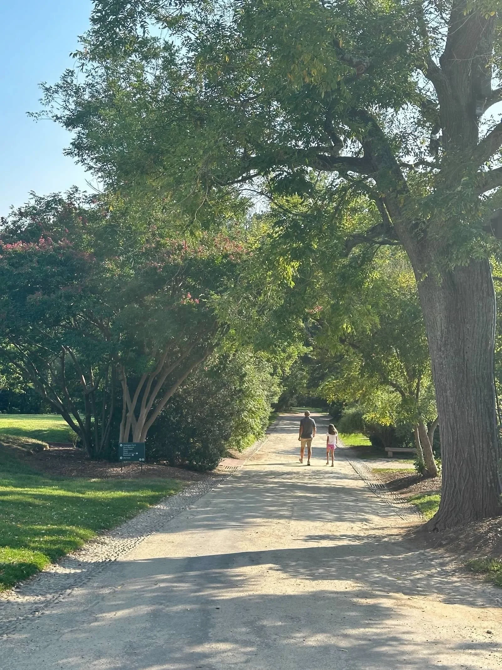 mount_vernon_scenic_path