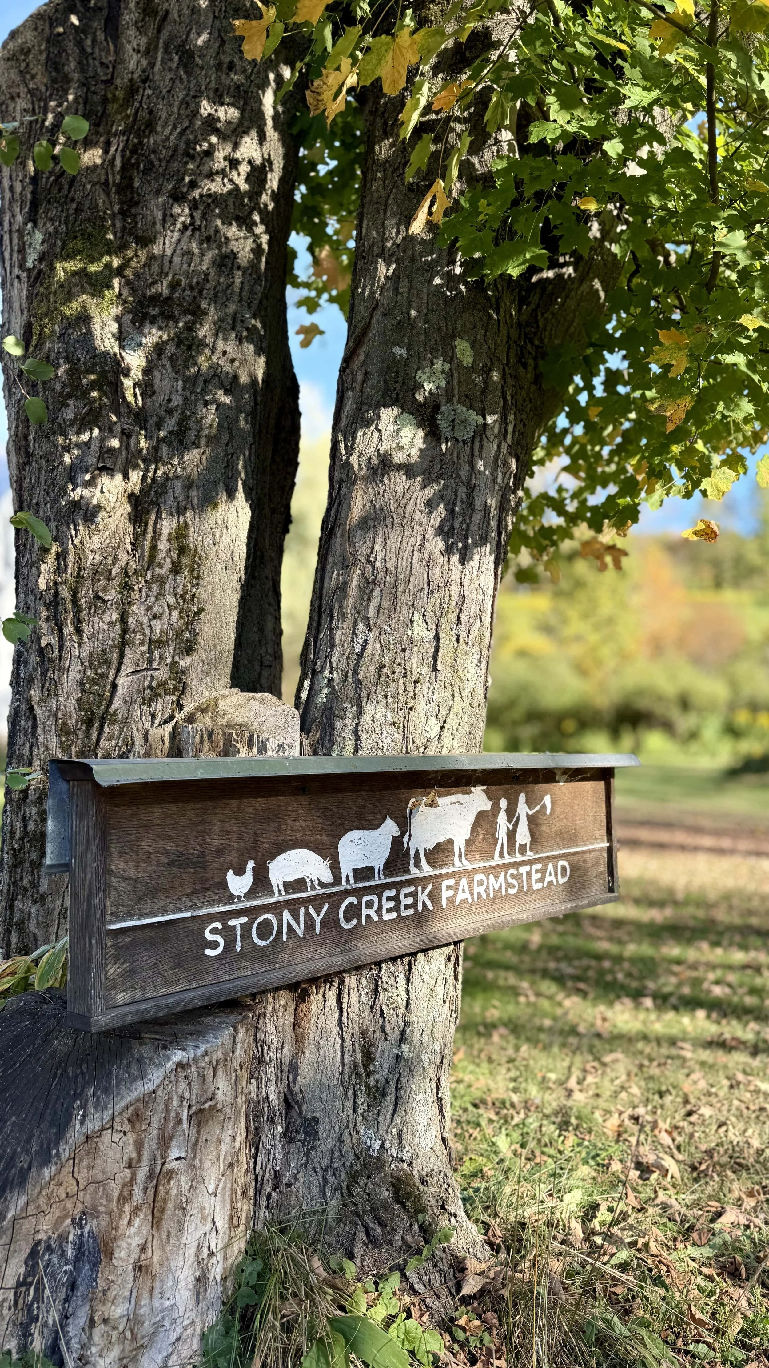 Stonycreek-Farmstead