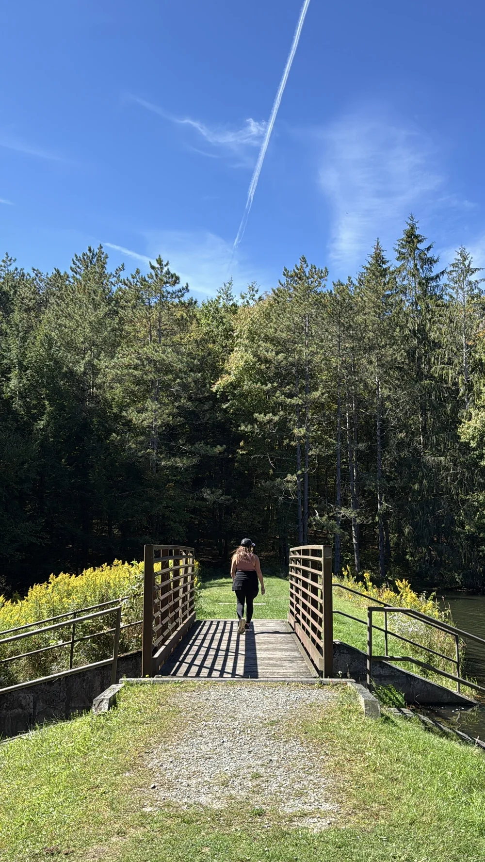 bear-spring-mountain