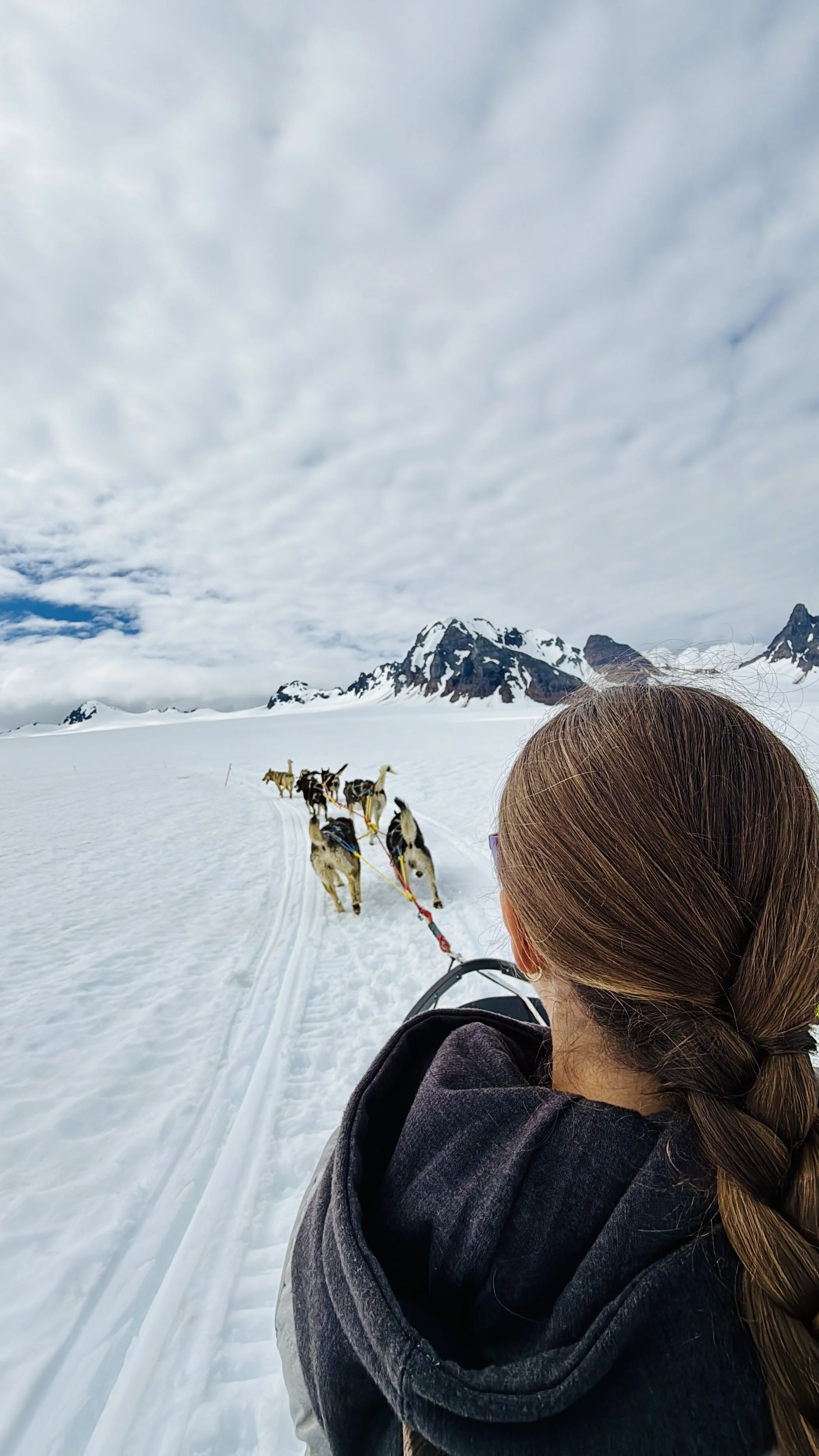 glacier-dog-sledding