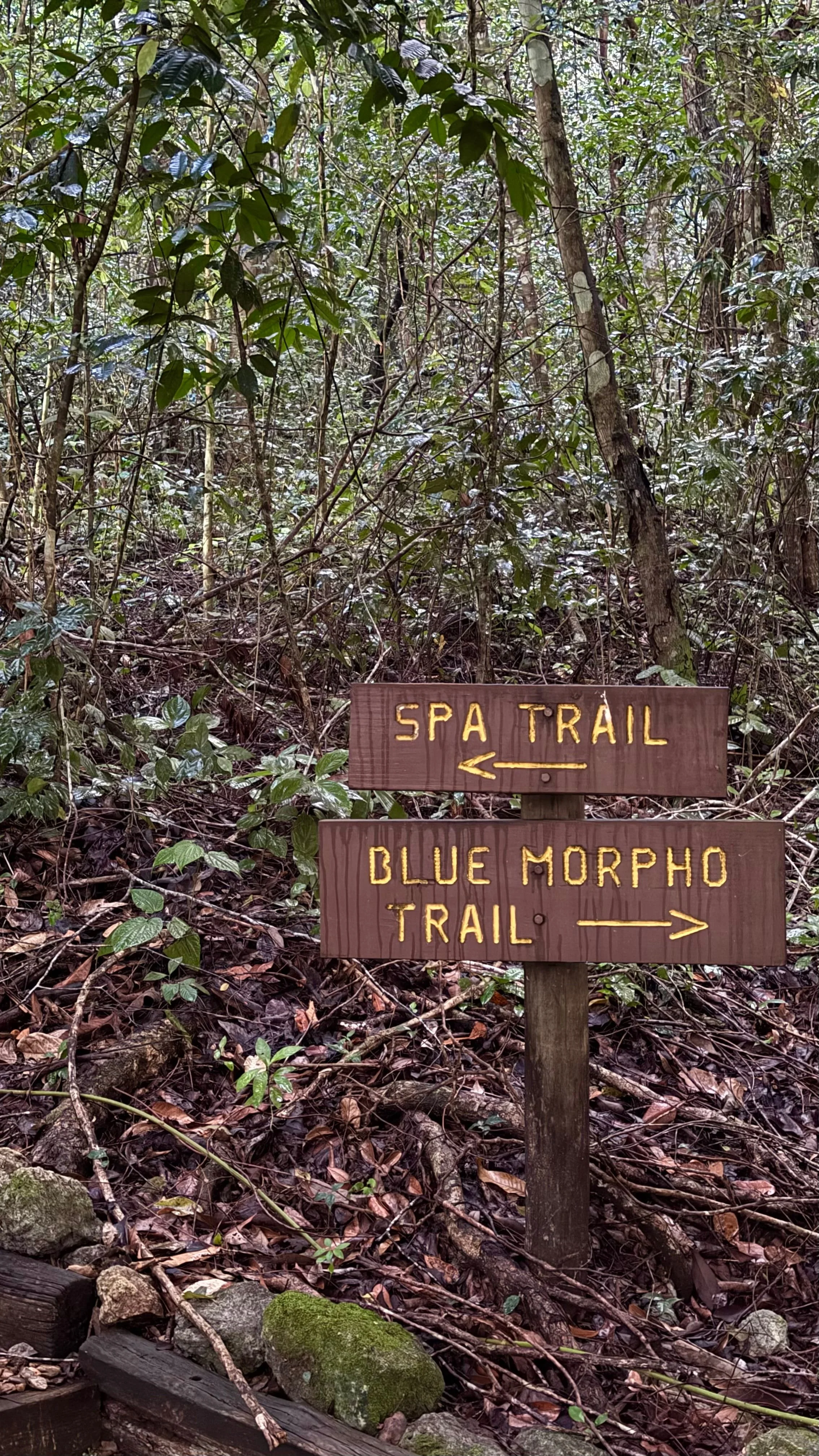 jungle_trail_chaa_creek