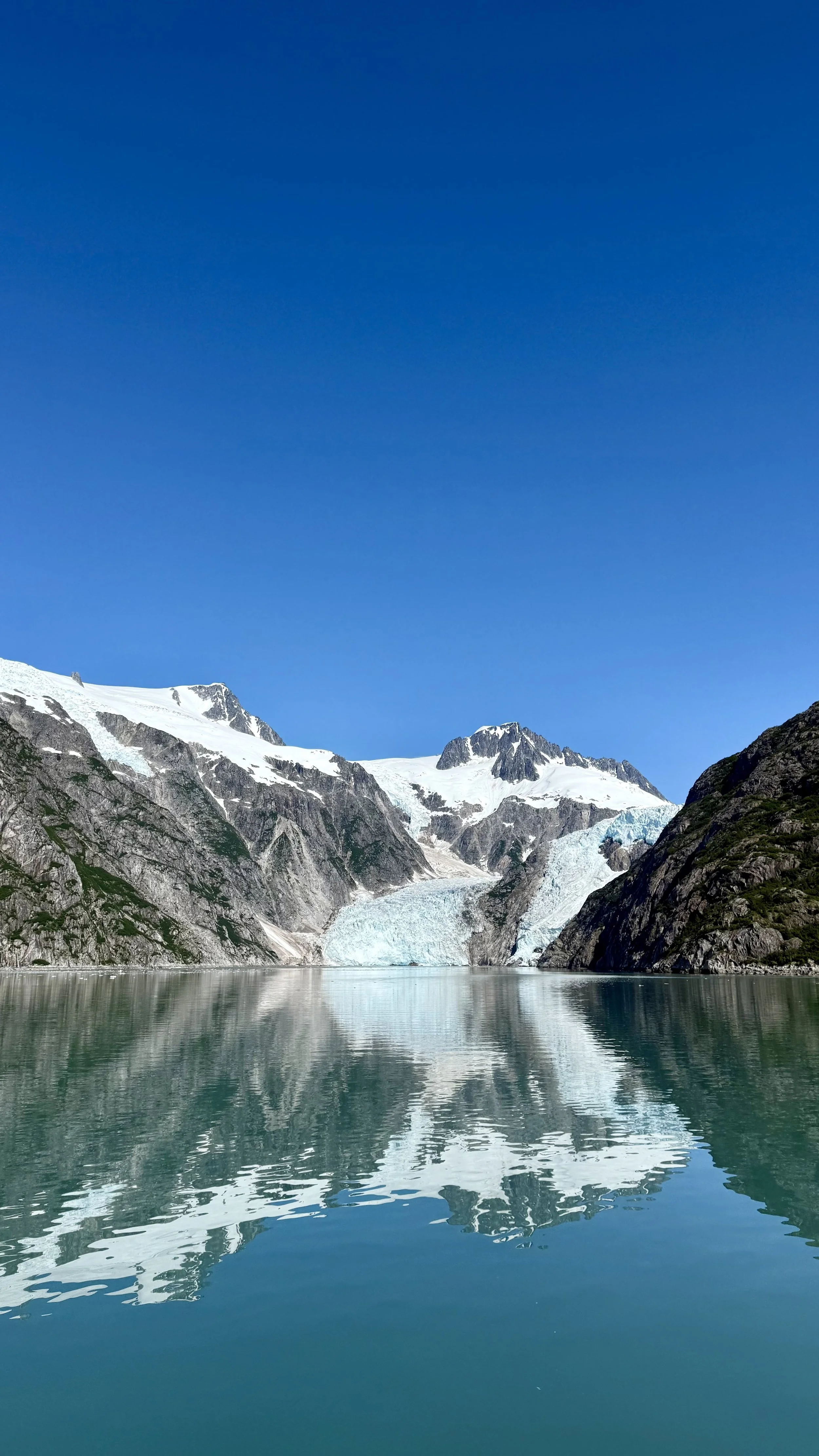Kenai Fjords Wildlife Cruise in Alaska
