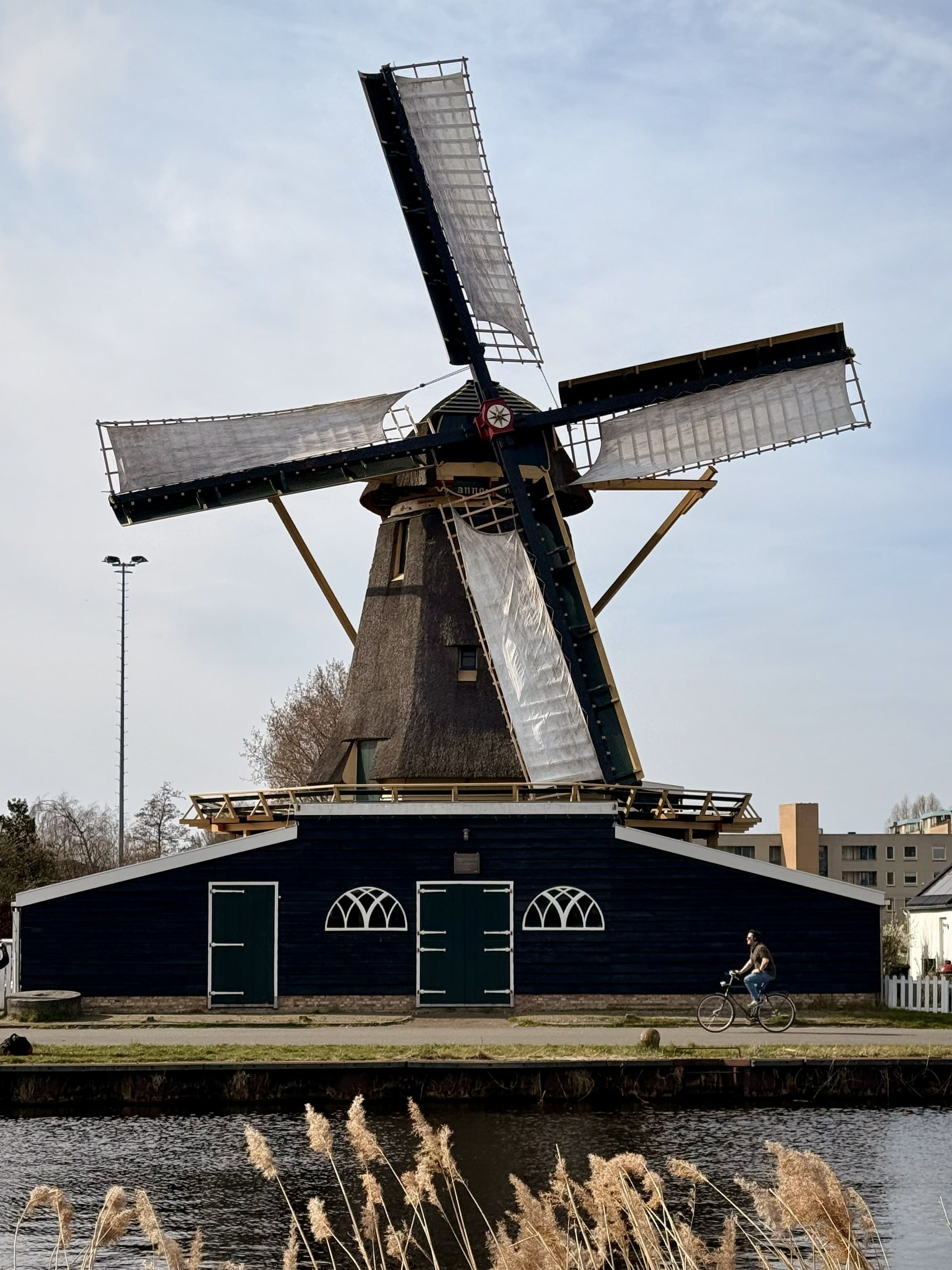 A windmill in the Dutch countryside.