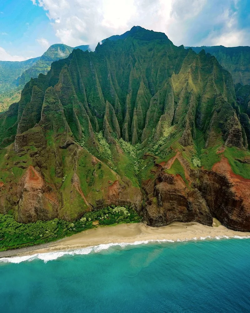 The lush Hawaiian landscape.