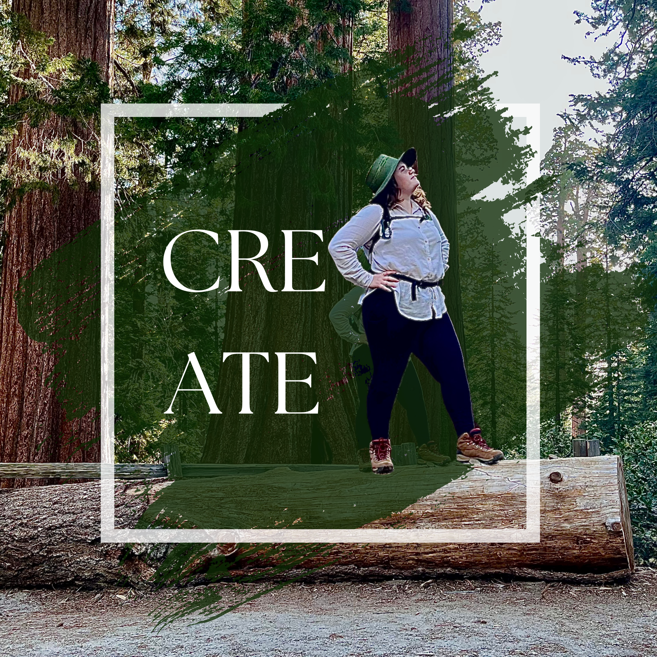 Creative Caitlan logo set in the wild forest