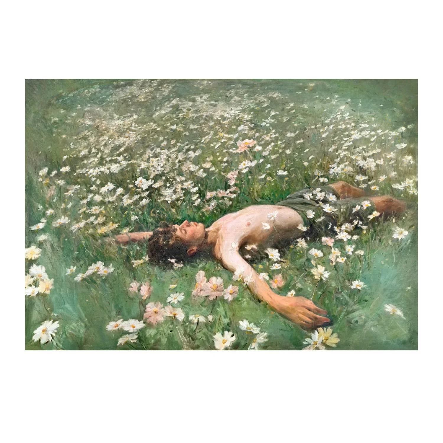 The Dreamer
