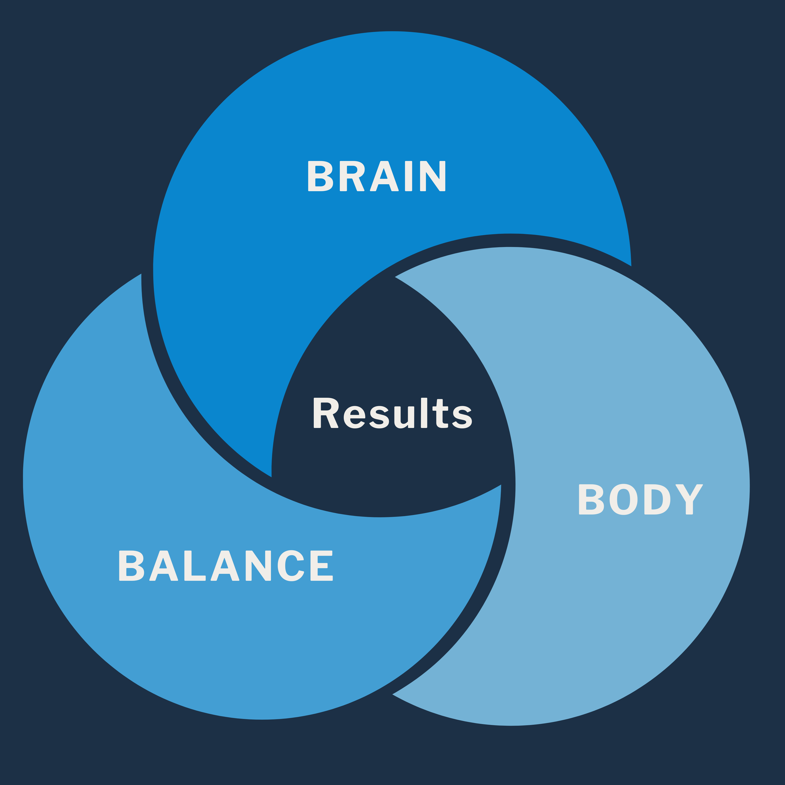 A Venn diagram with three circles labeled 'BRAIN', 'BODY', and 'BALANCE.' The overlapping area in the center is labeled 'Results.'