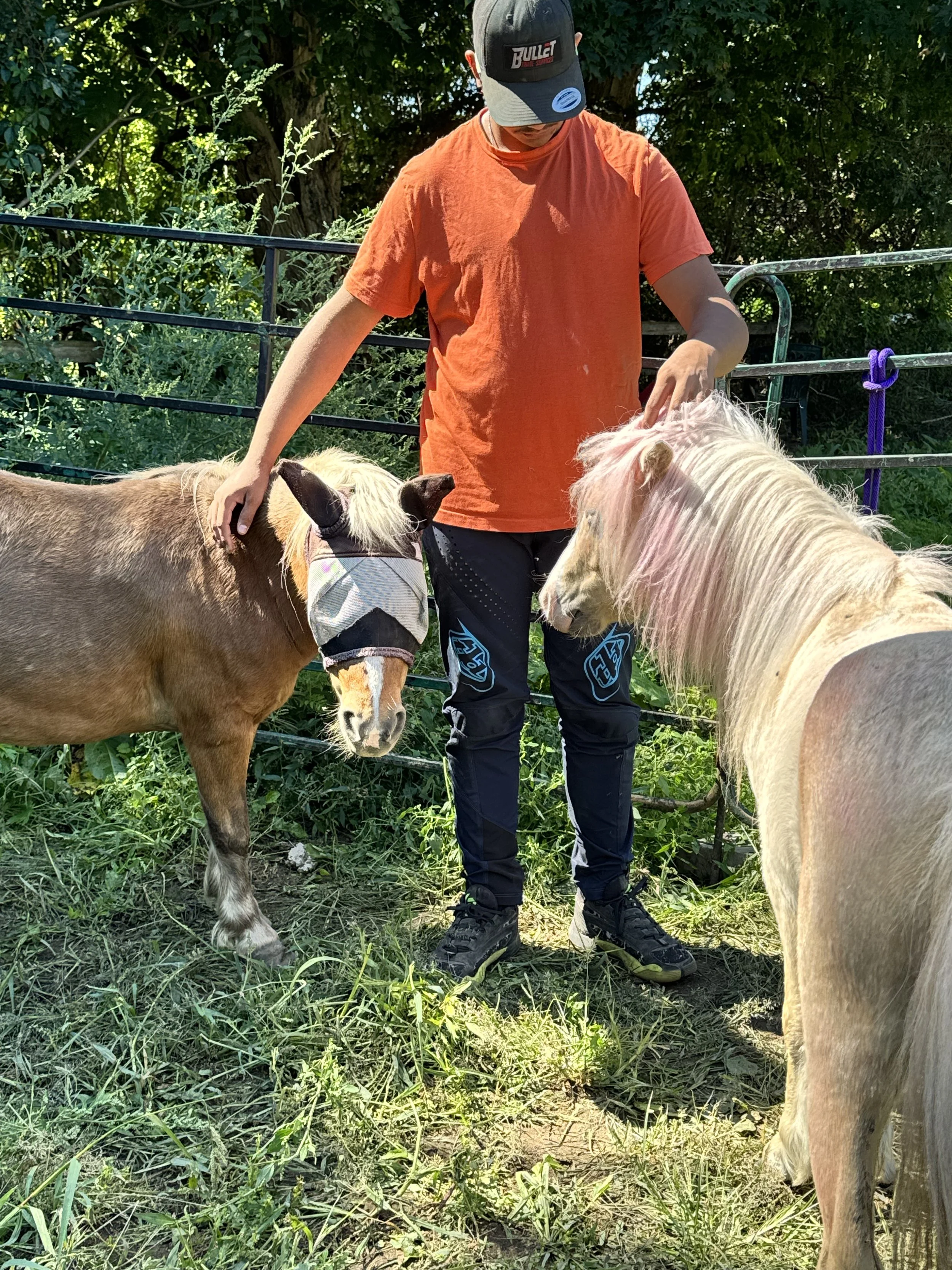 The Quiet in the Chaos: Using the Herd to Ground the ADHD Racing Mind