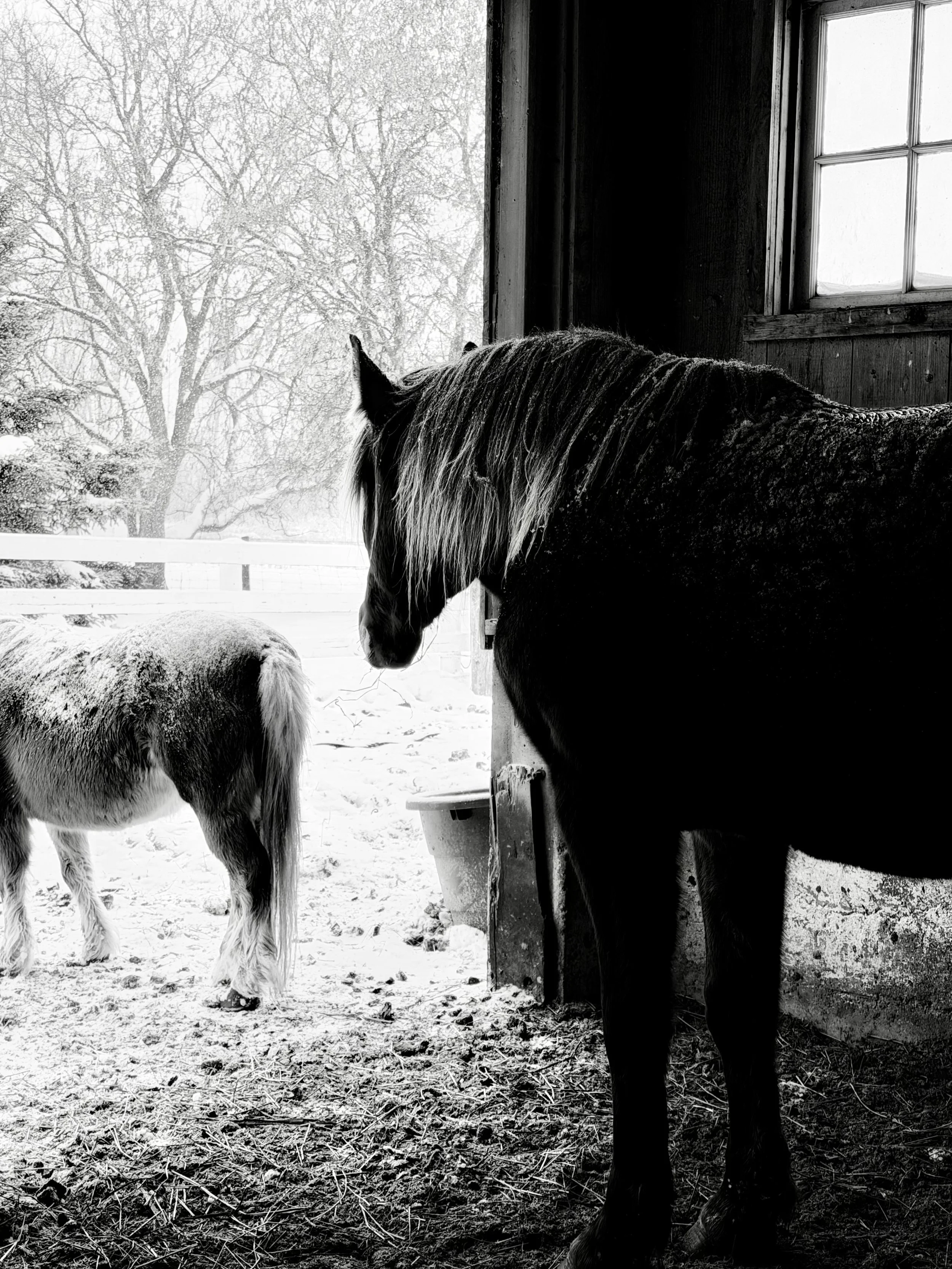 Why Your Teen is "Grumpier" in Winter: The Nervous System and The Cold